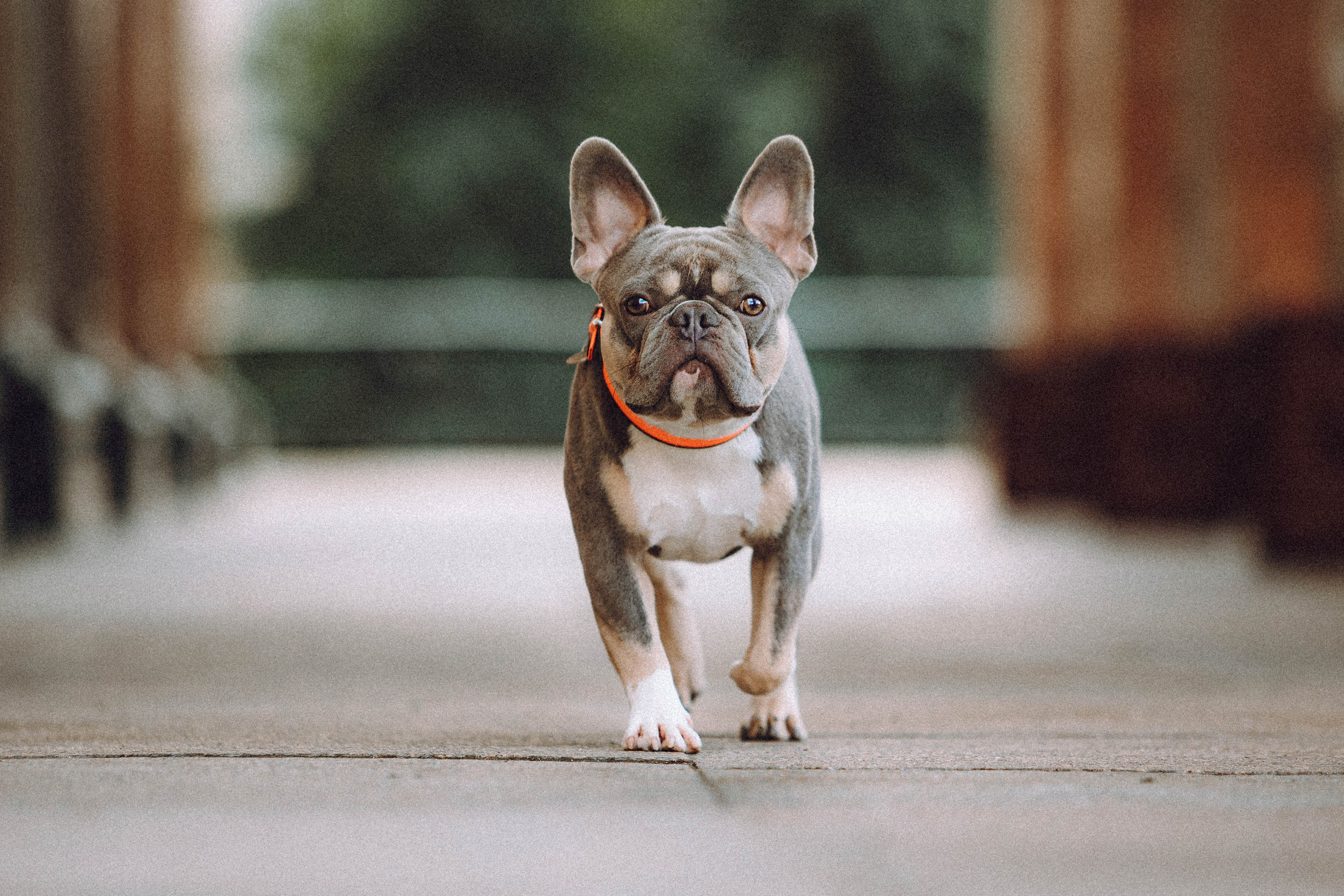 Регина, Сережа и Шелдон