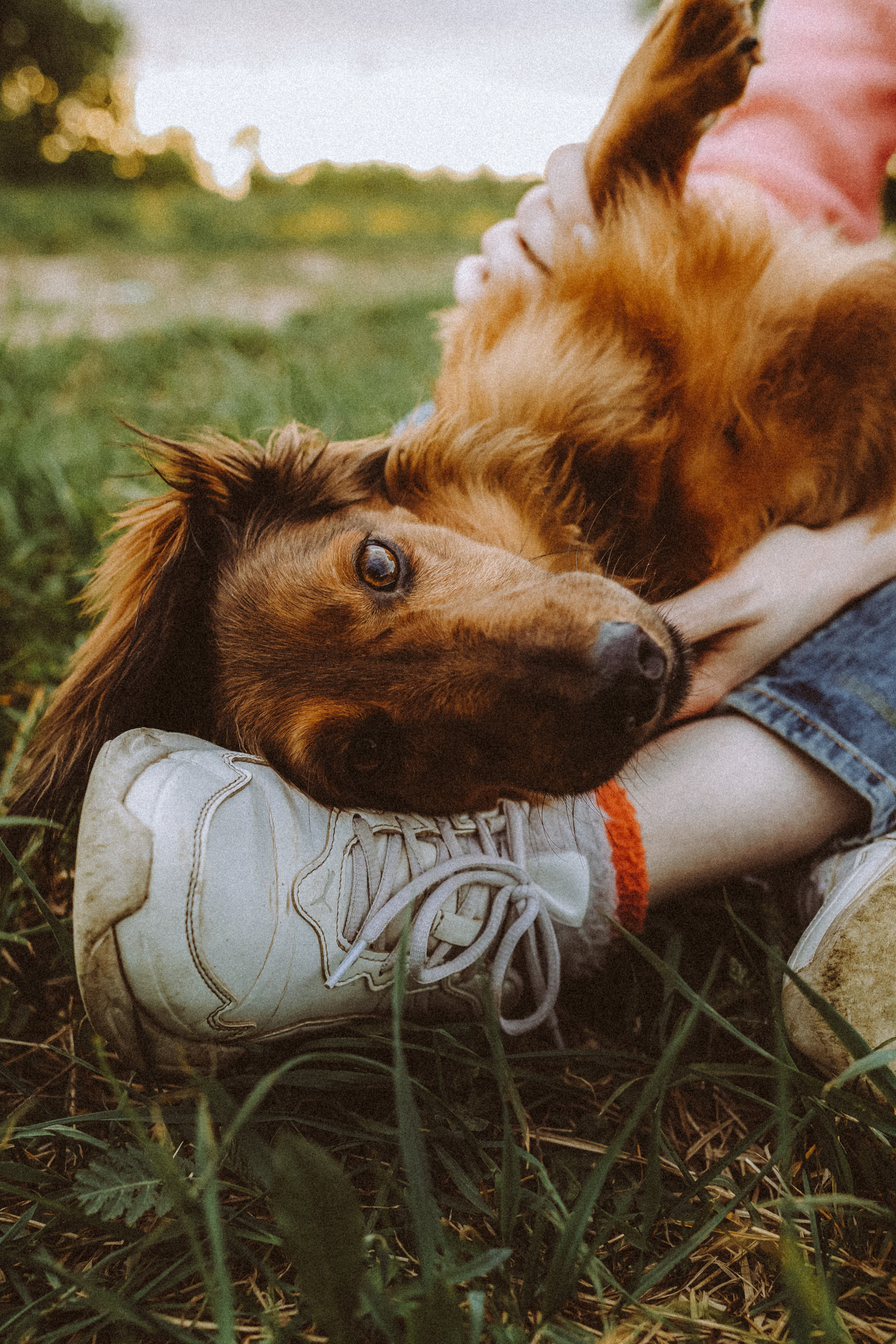 Джаз, Остин и их семья