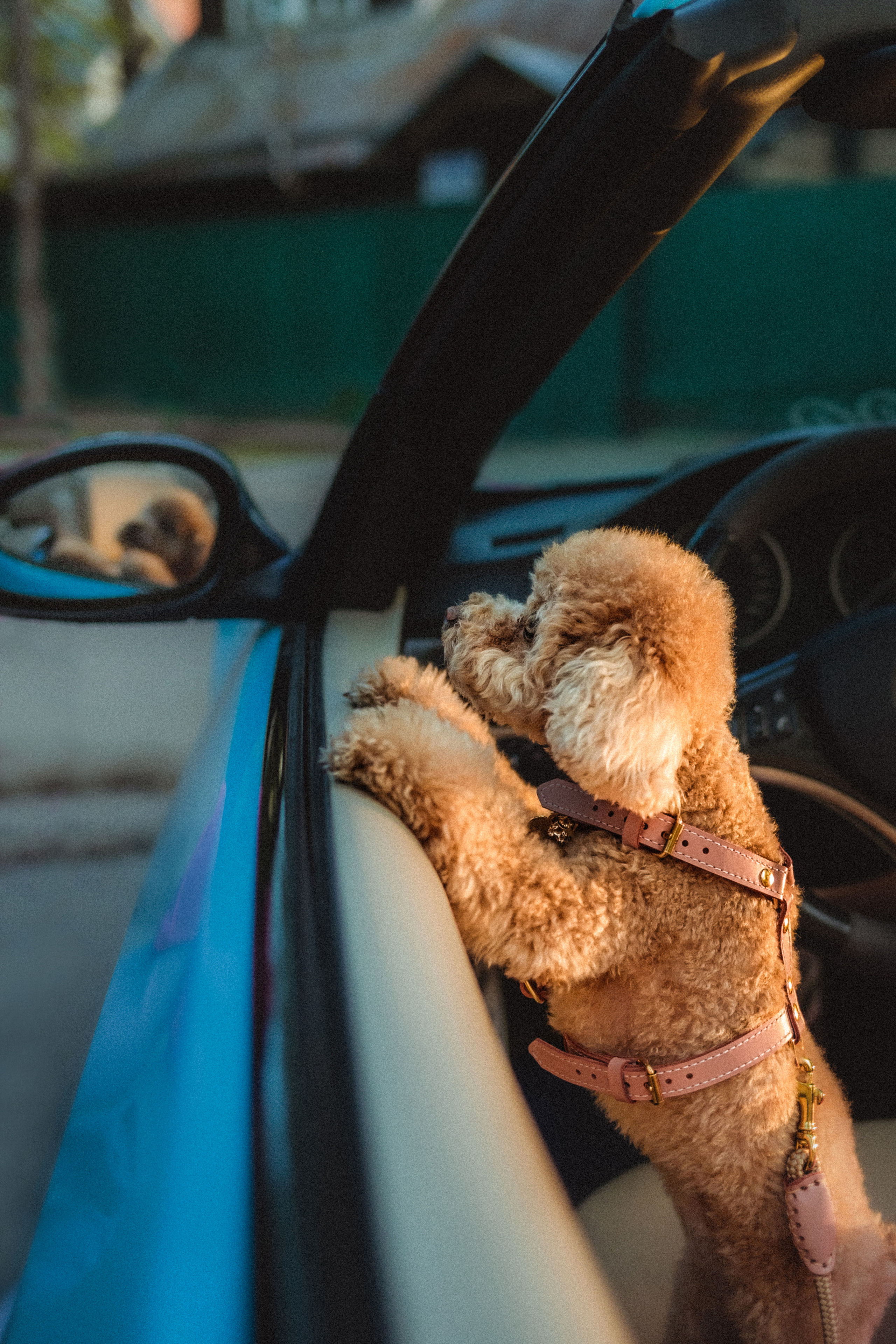 Даша и Глаша