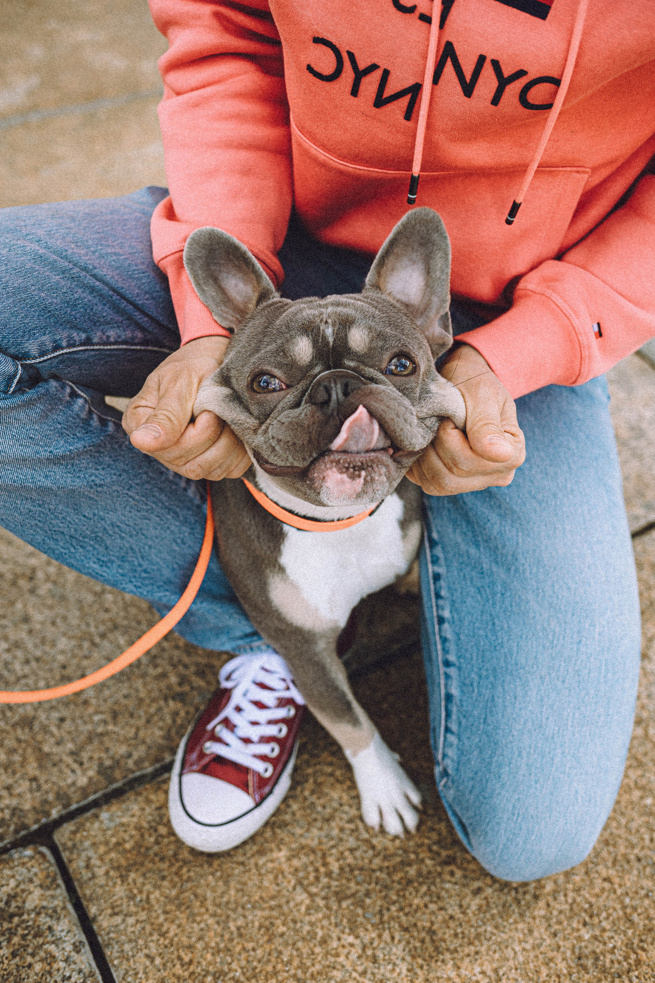 Регина, Сережа и Шелдон