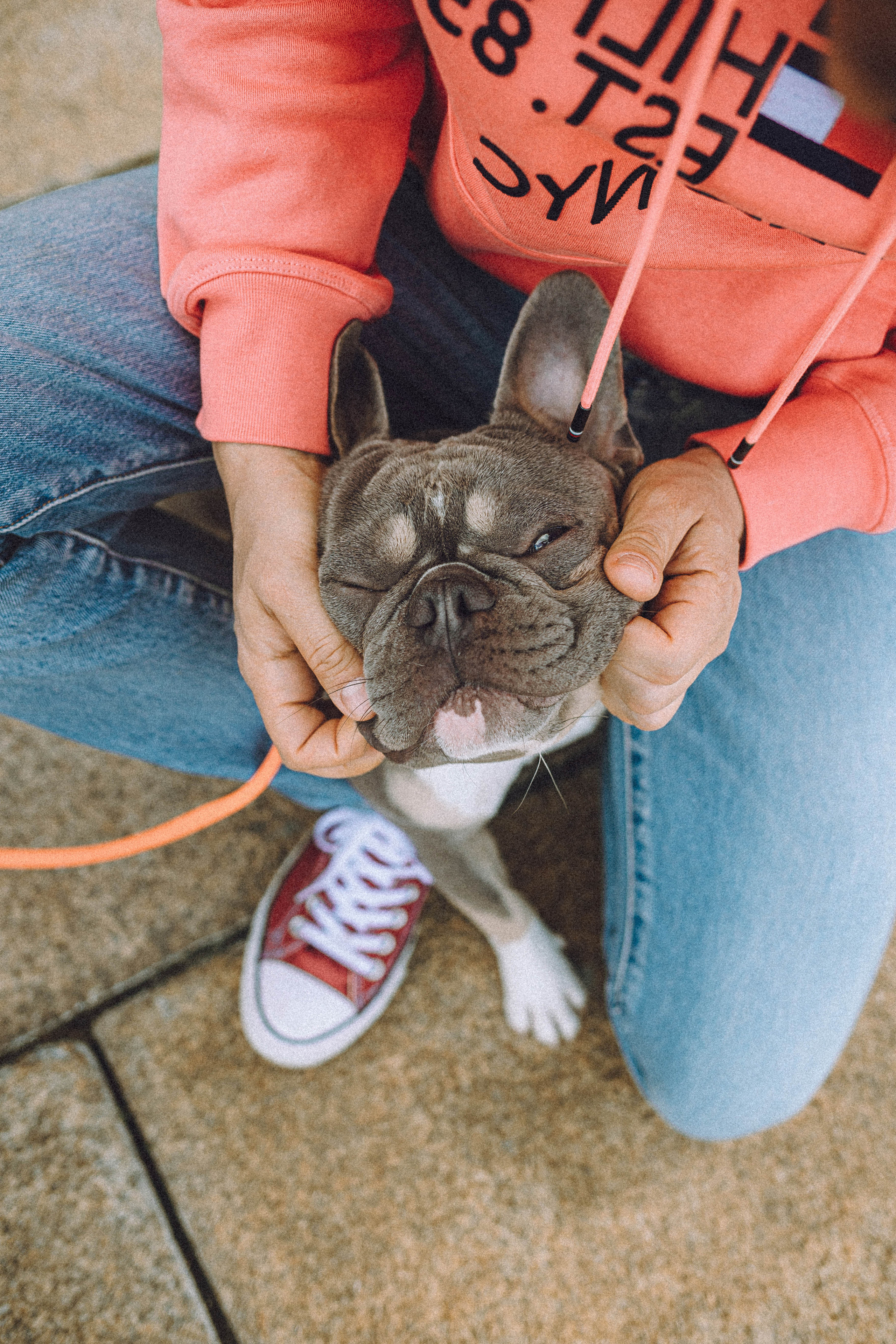 Регина, Сережа и Шелдон