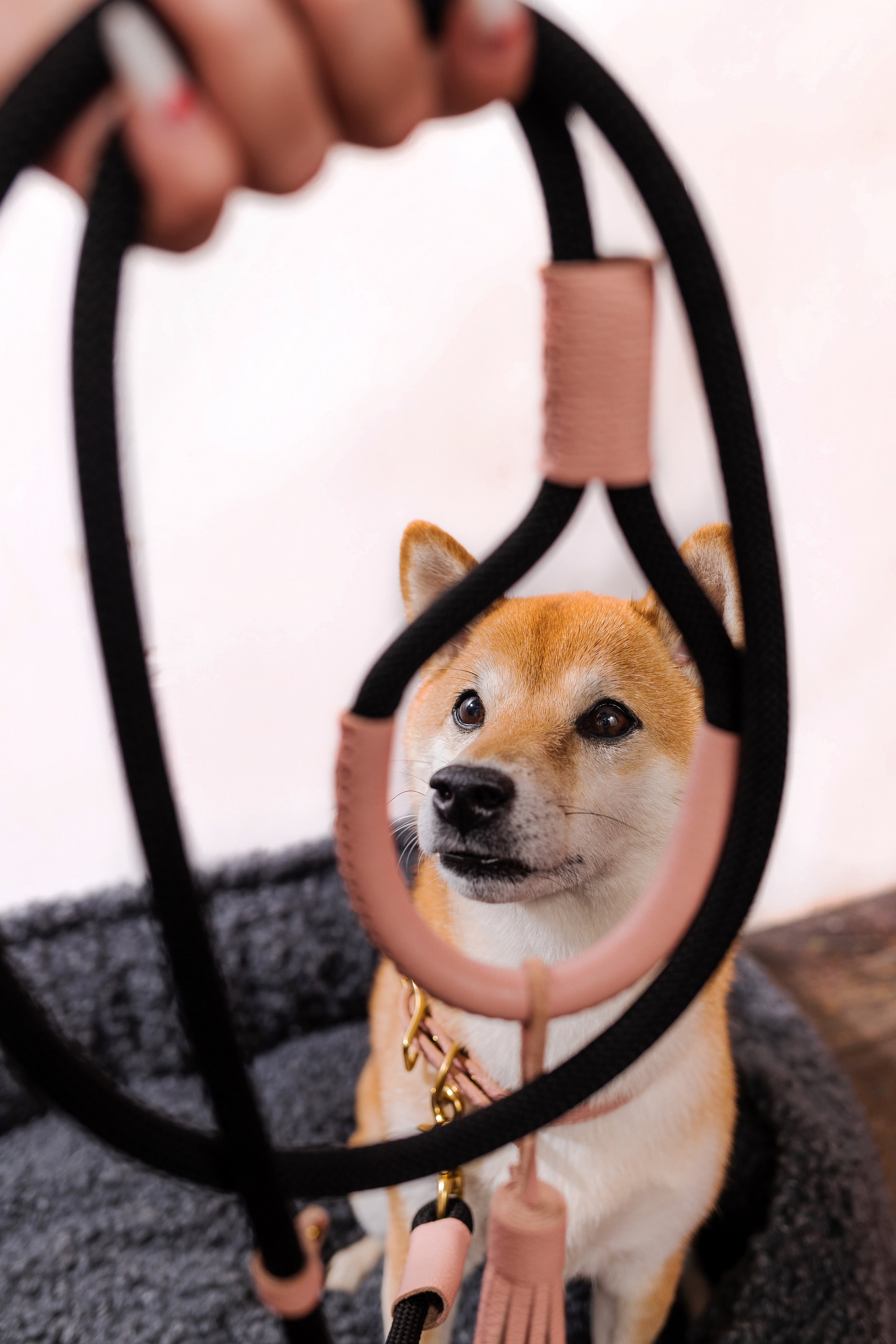 Съемка для MGM