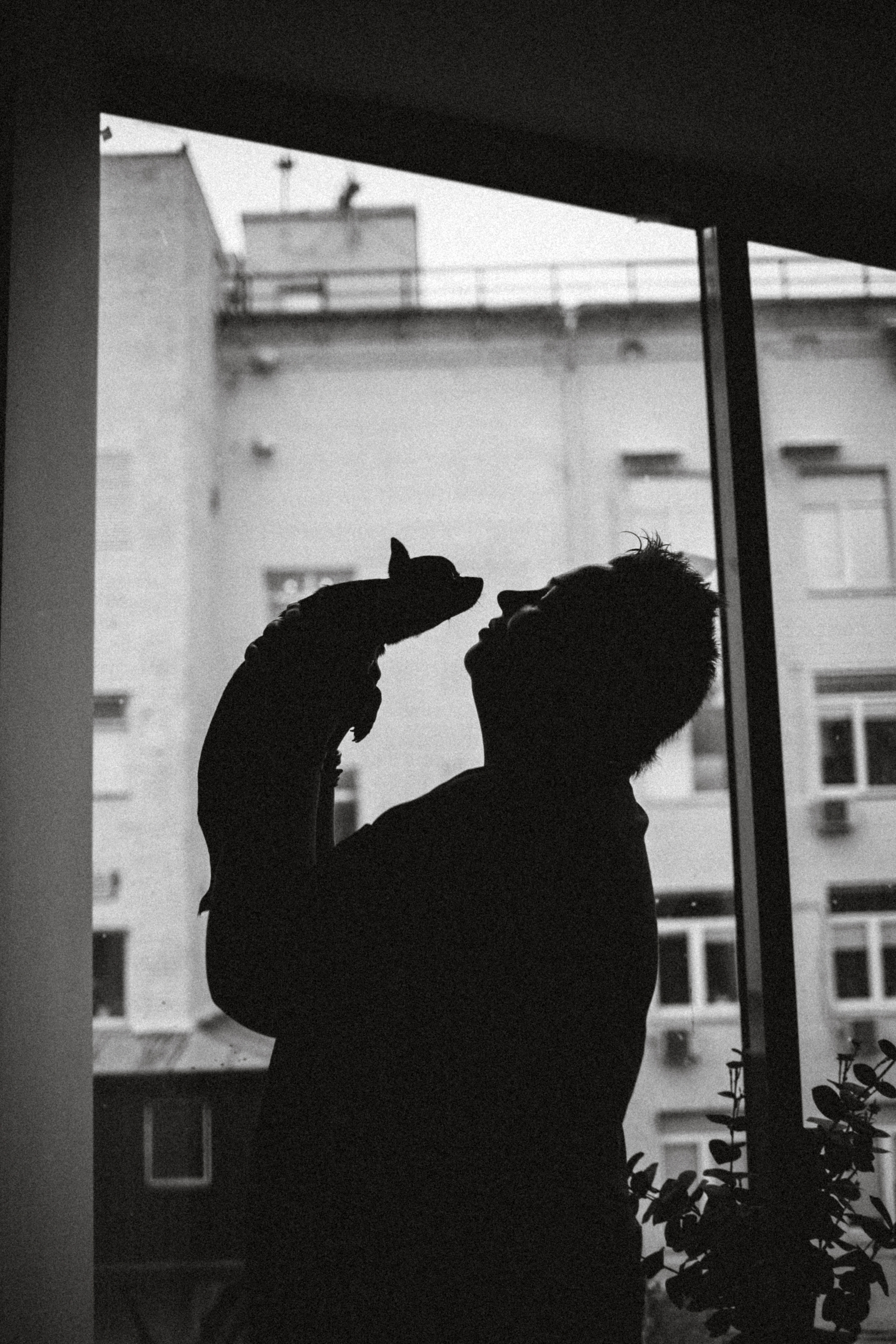 Марк, Челси, Маша и их семья