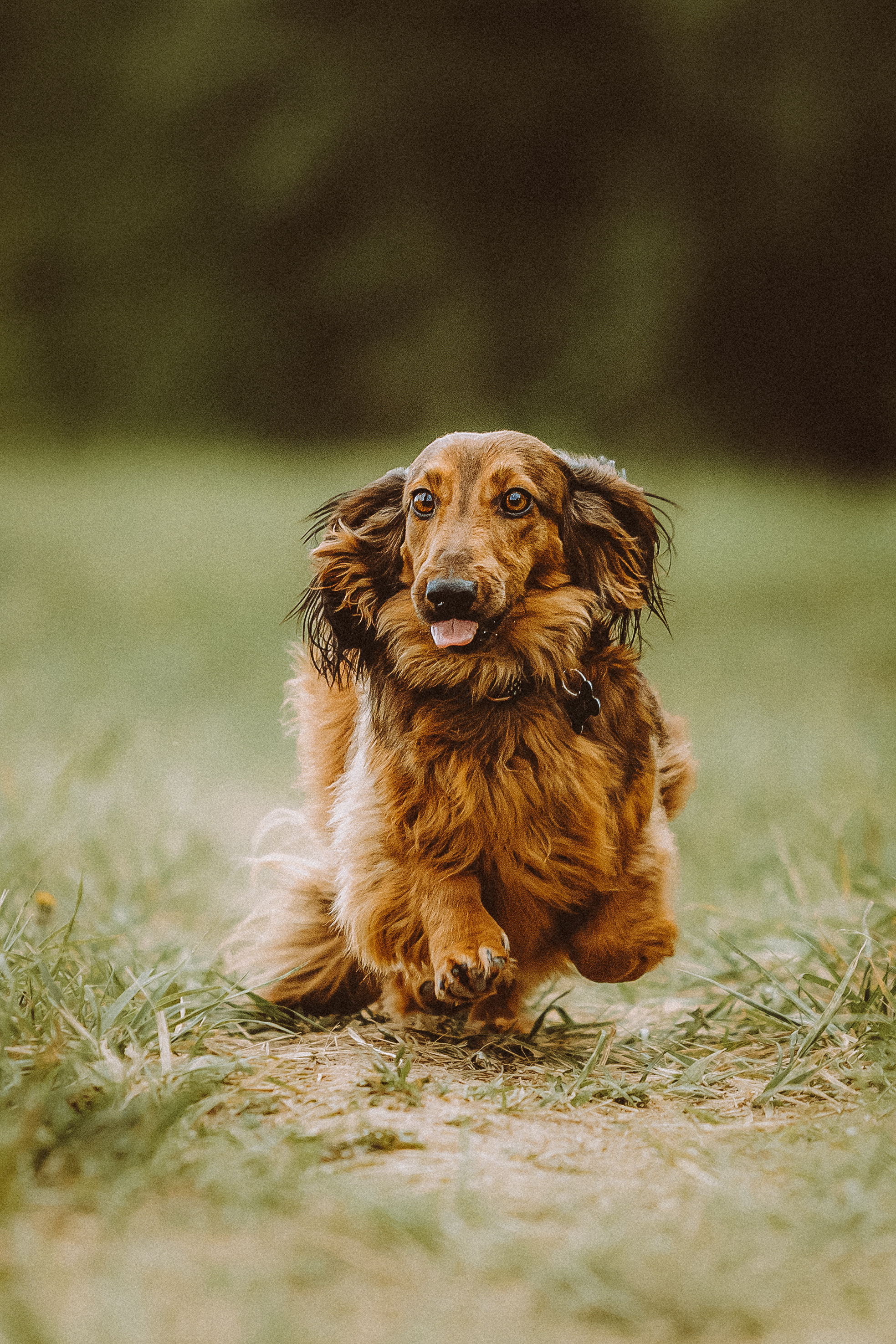 Джаз, Остин и их семья