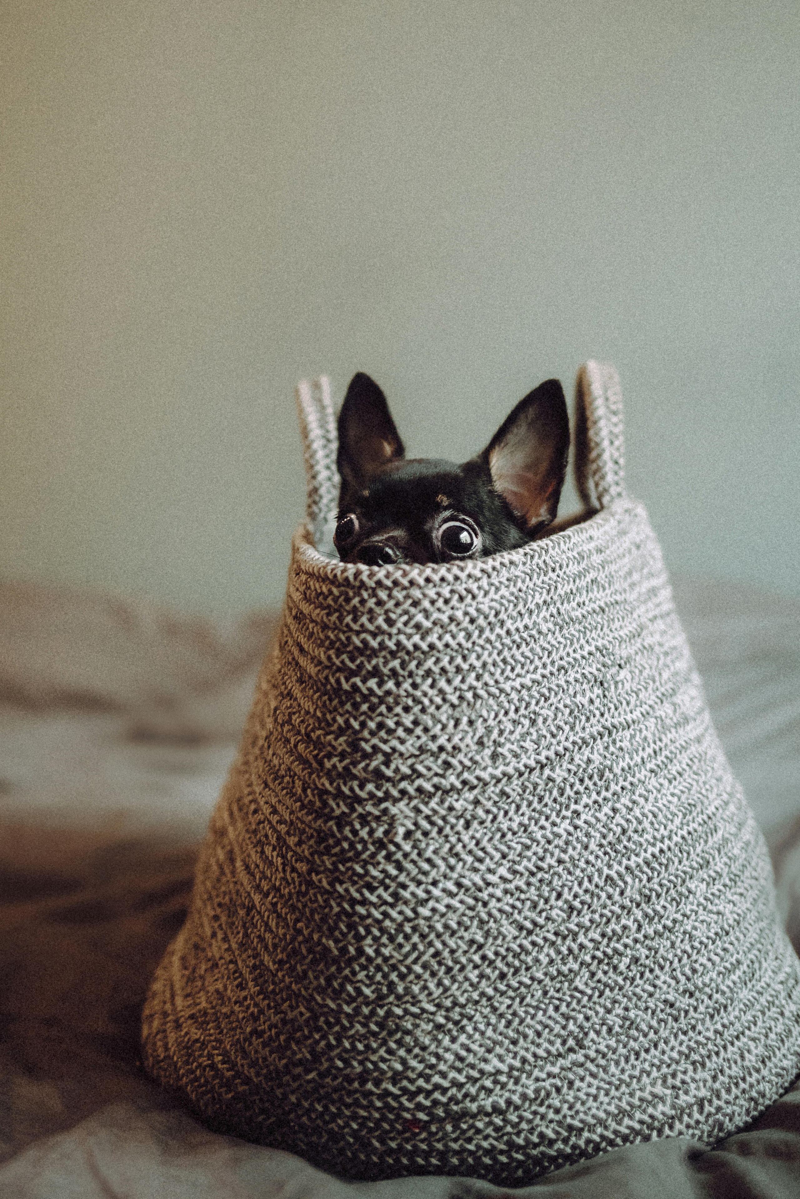 Марк, Челси, Маша и их семья