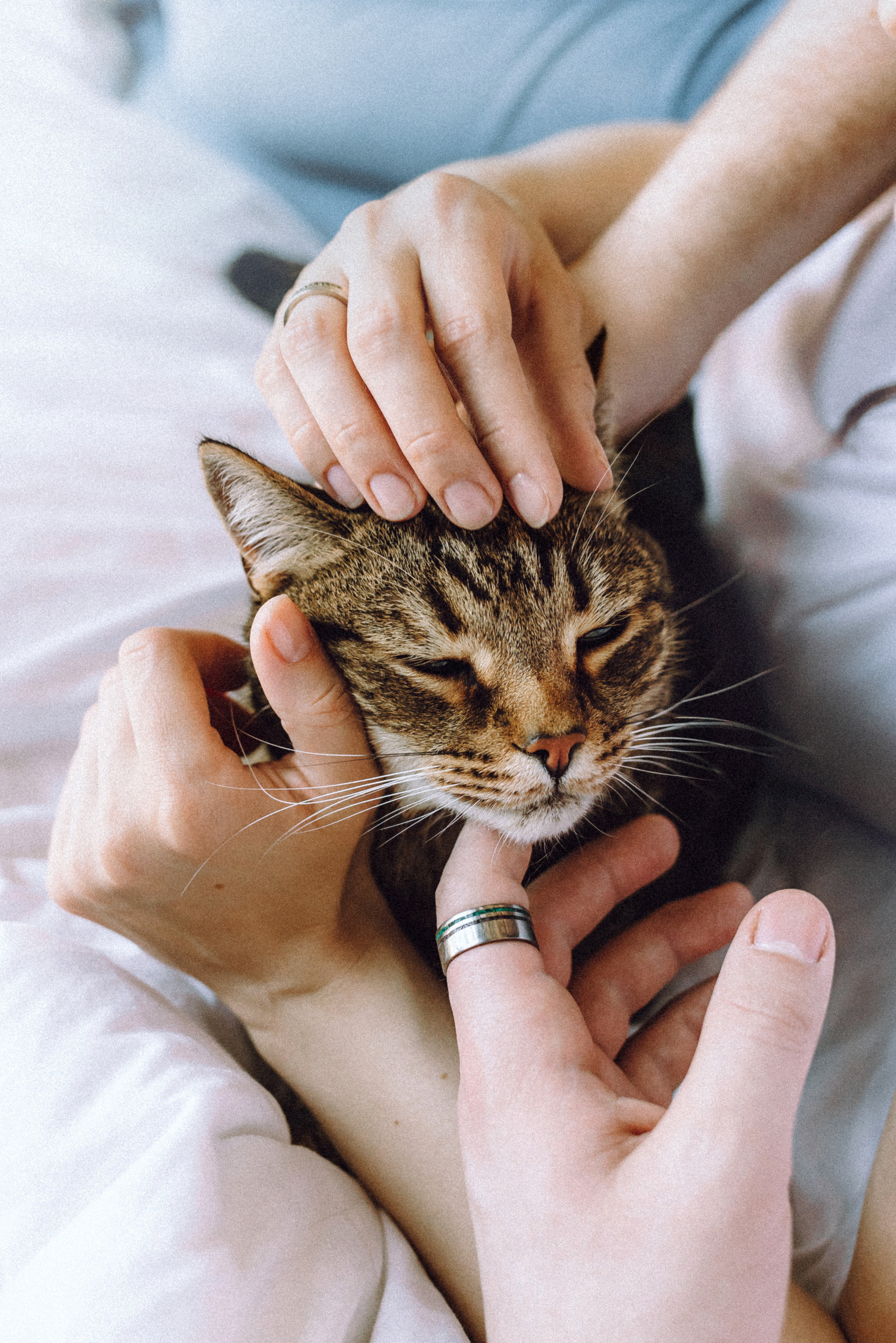 Вика, Вова и Клепа