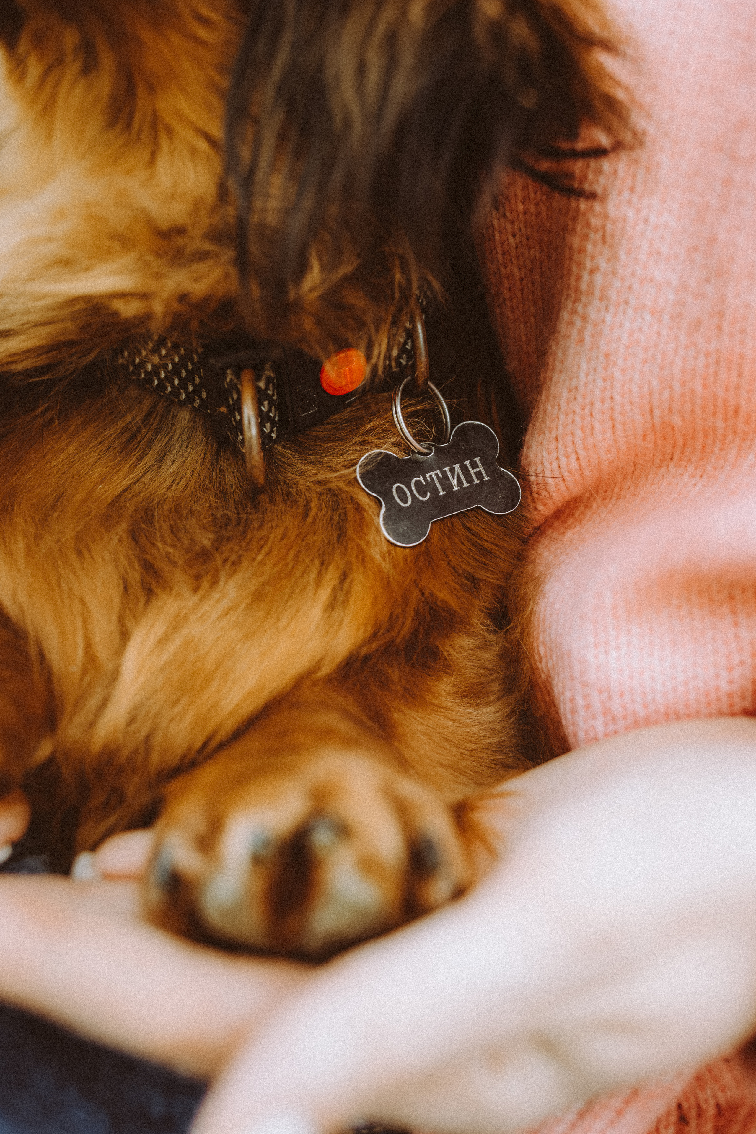 Джаз, Остин и их семья