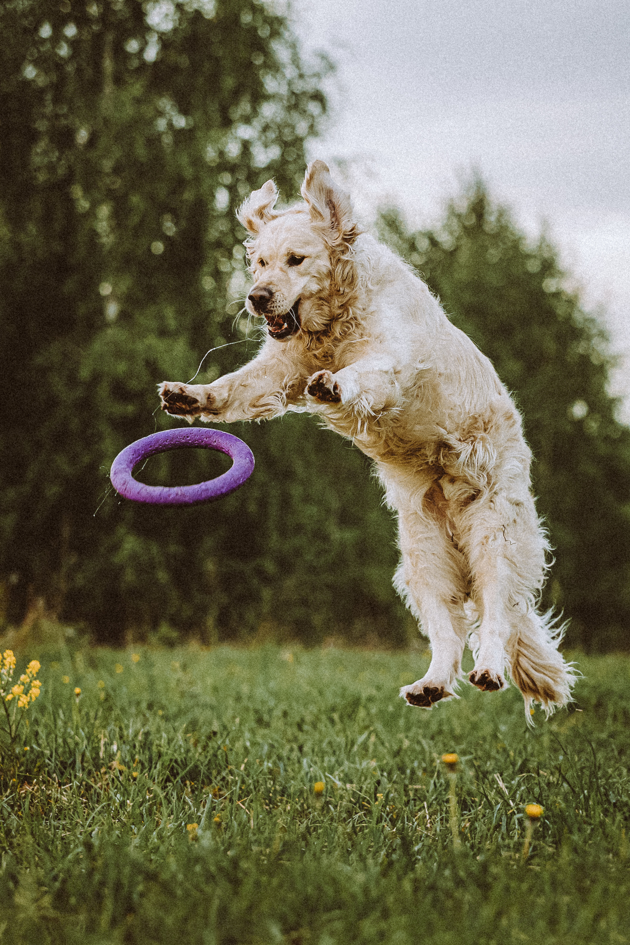 Джаз, Остин и их семья