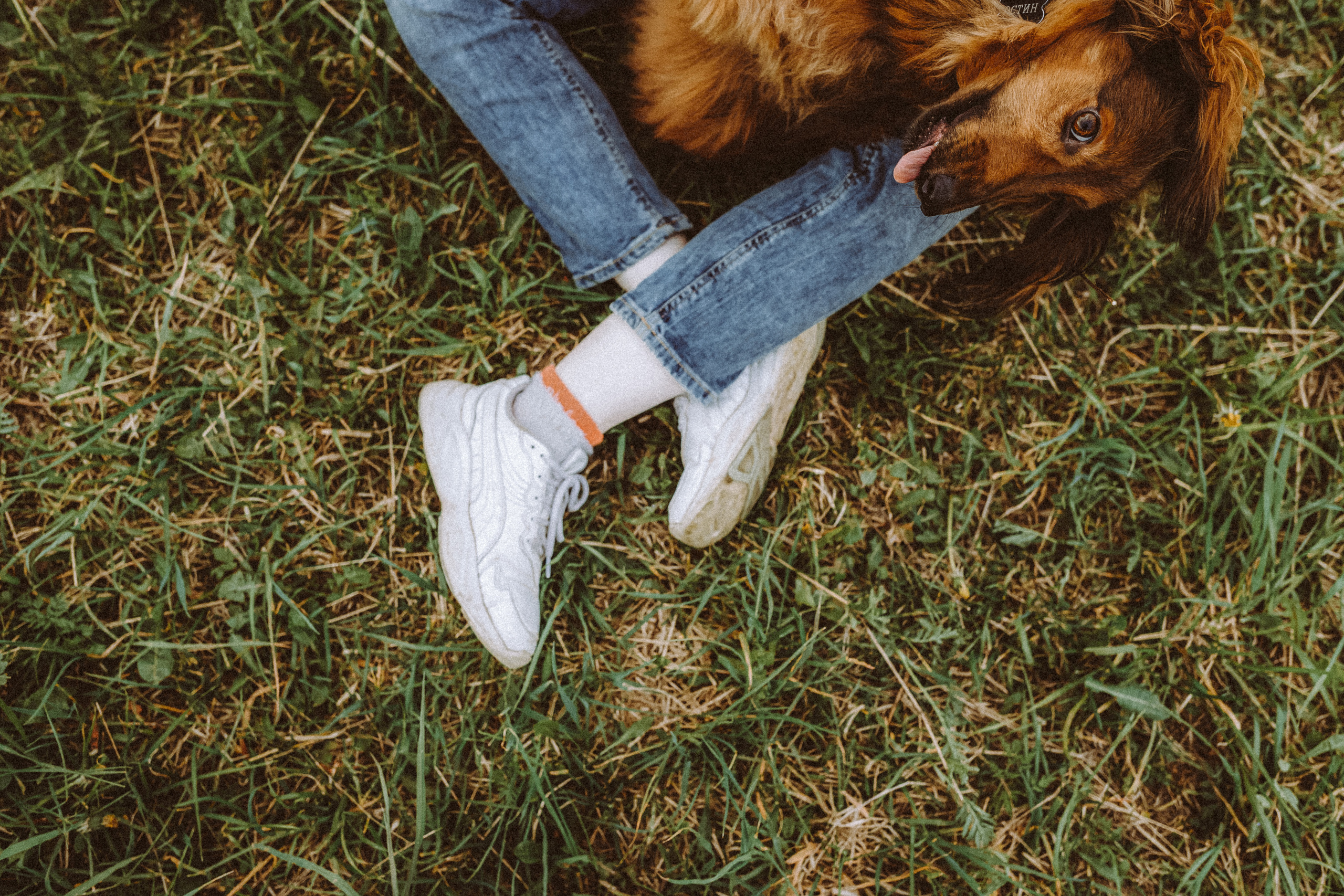 Джаз, Остин и их семья