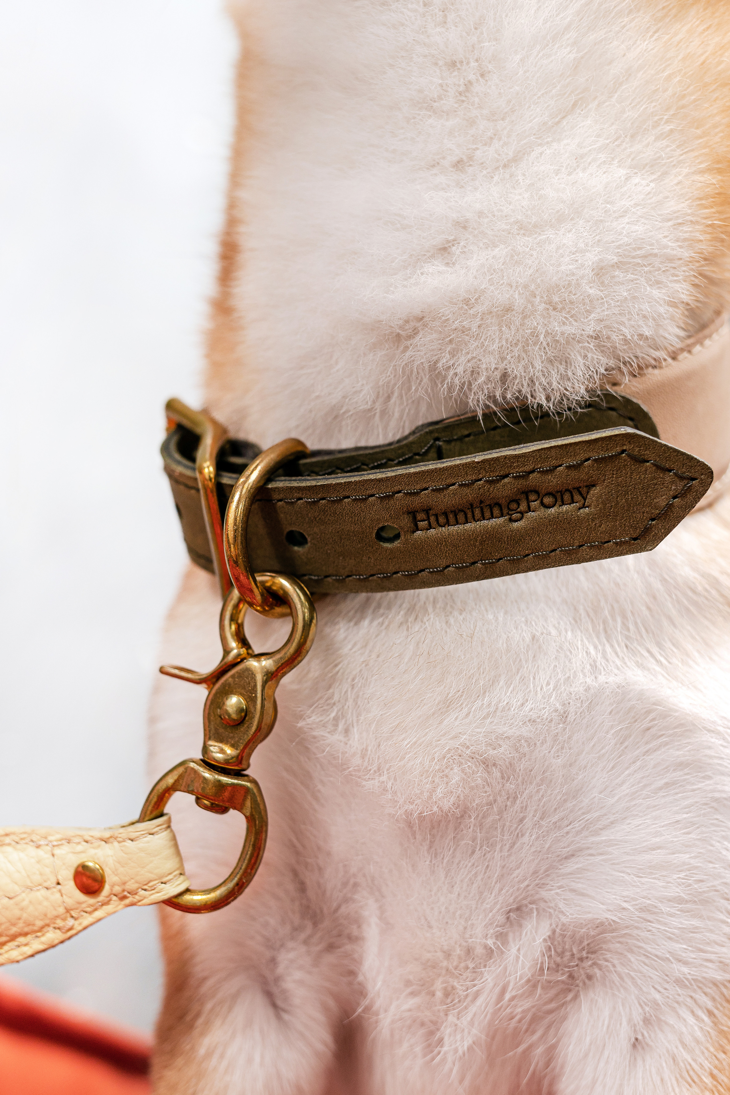 Съемка для MGM