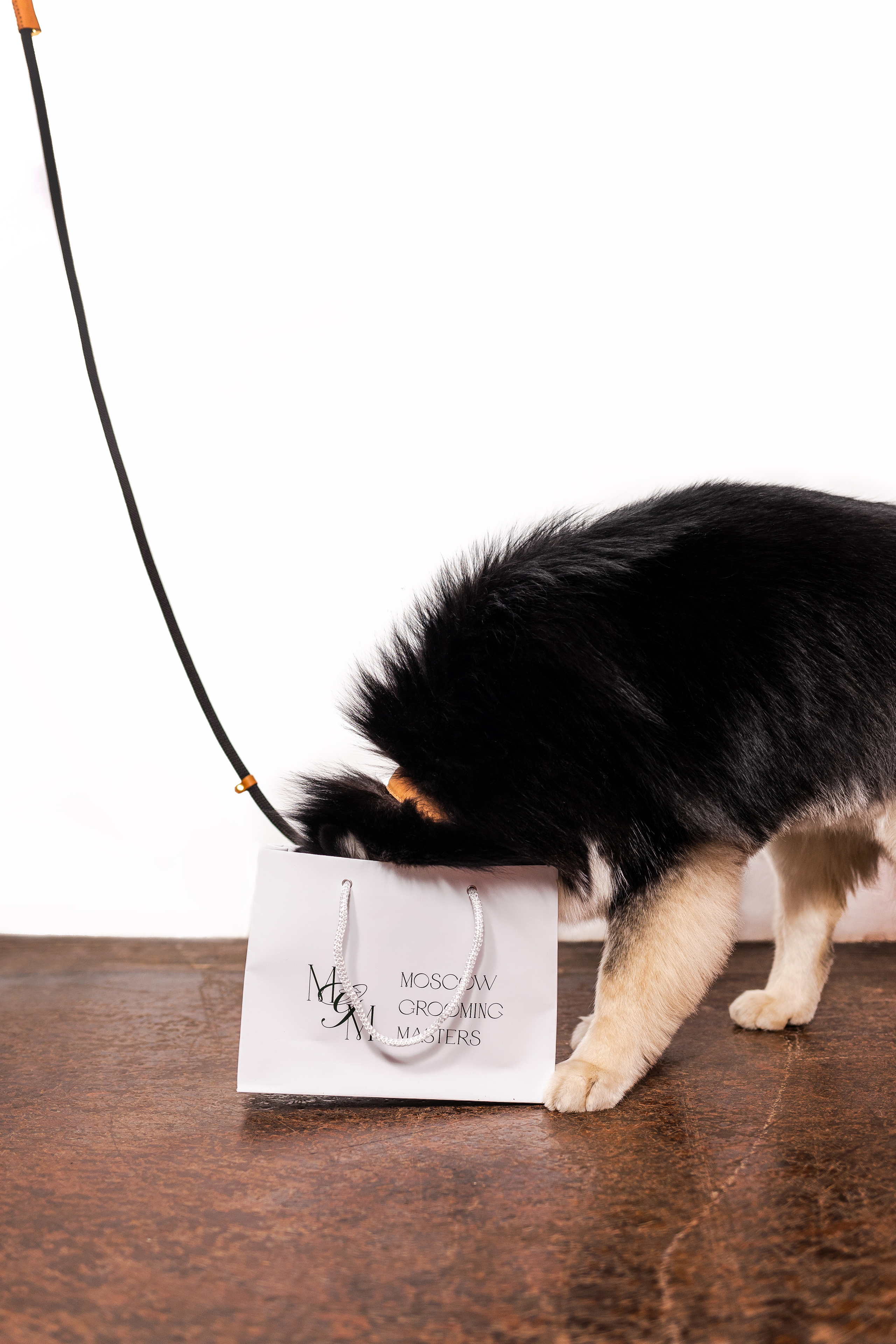 Съемка для MGM