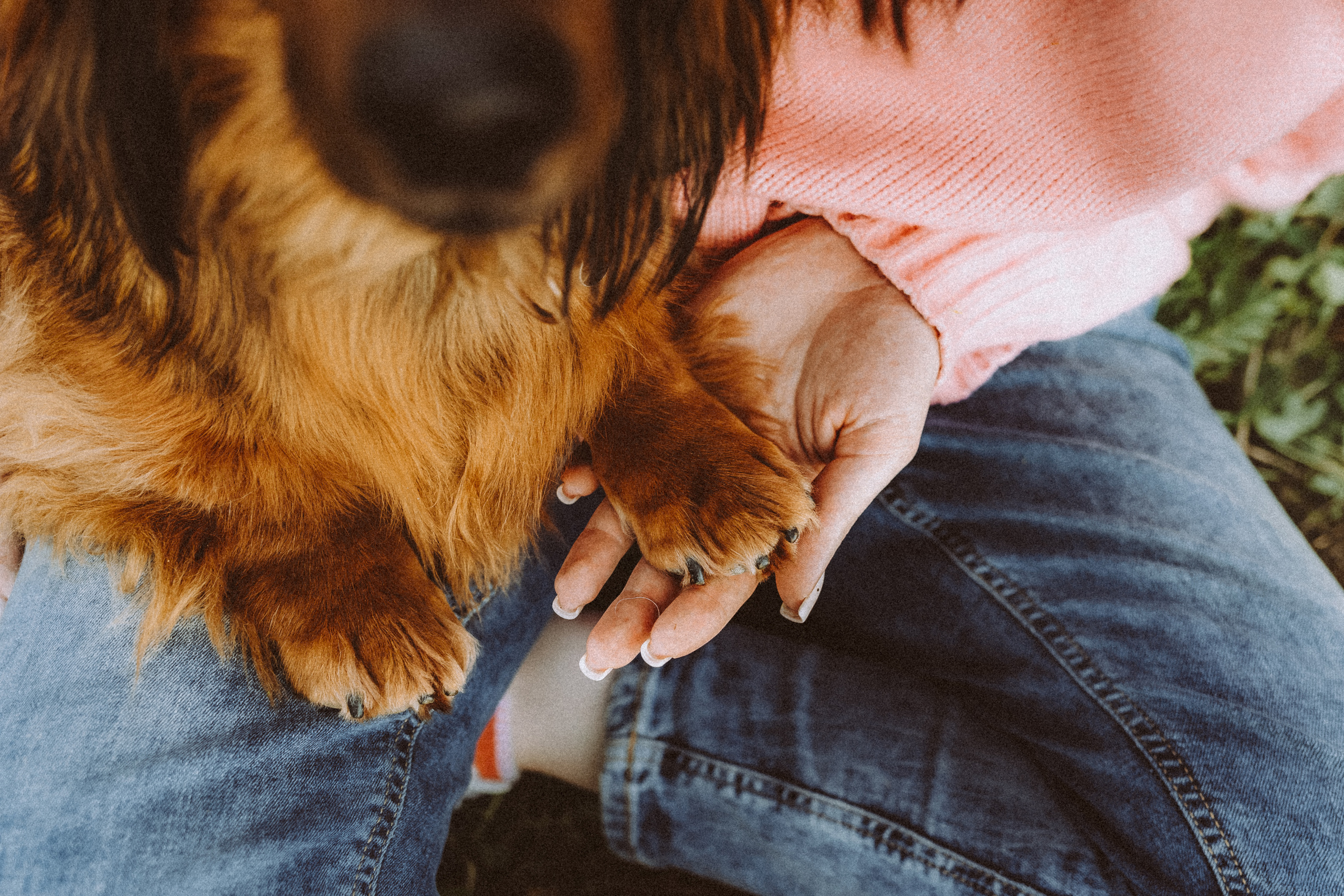 Джаз, Остин и их семья