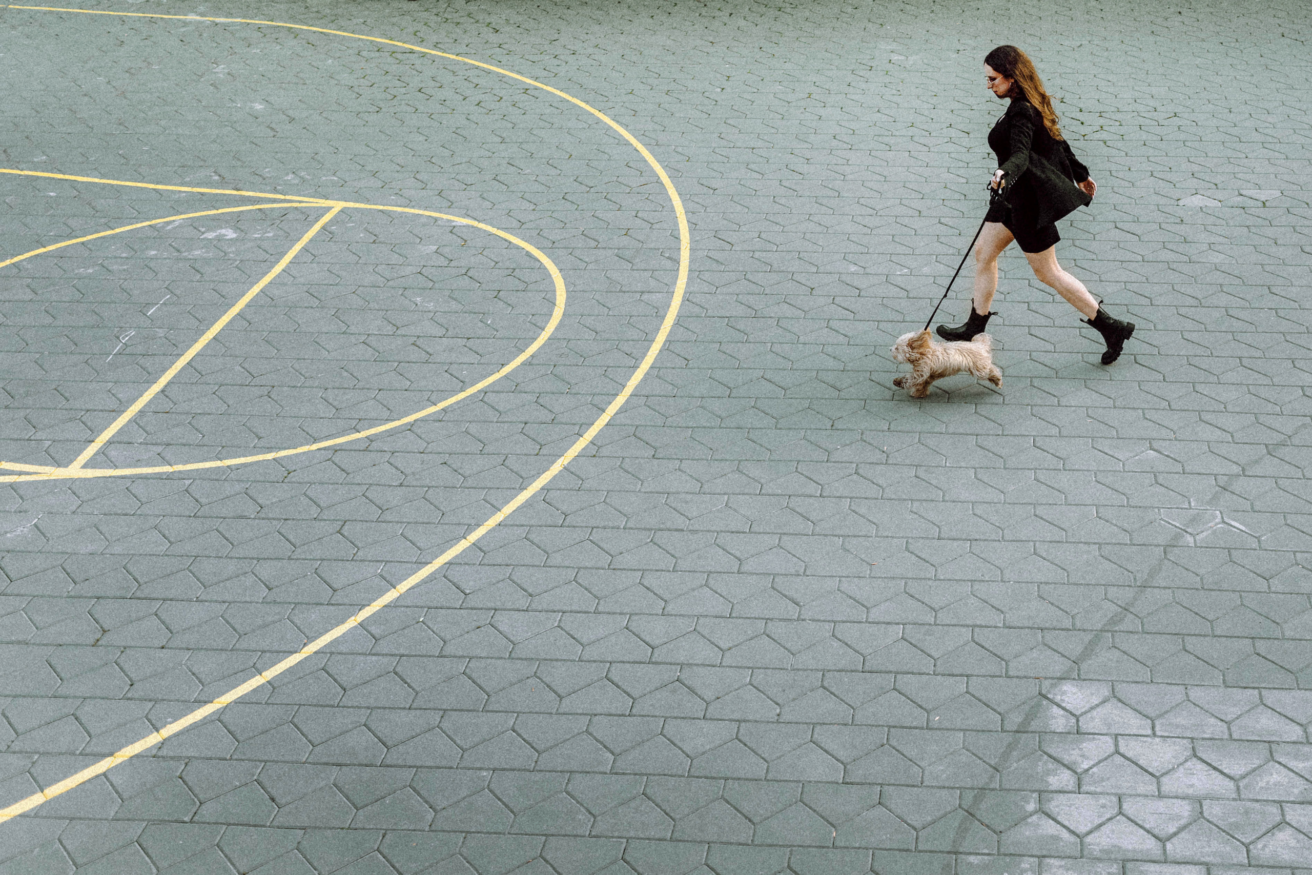 Настя и Симба