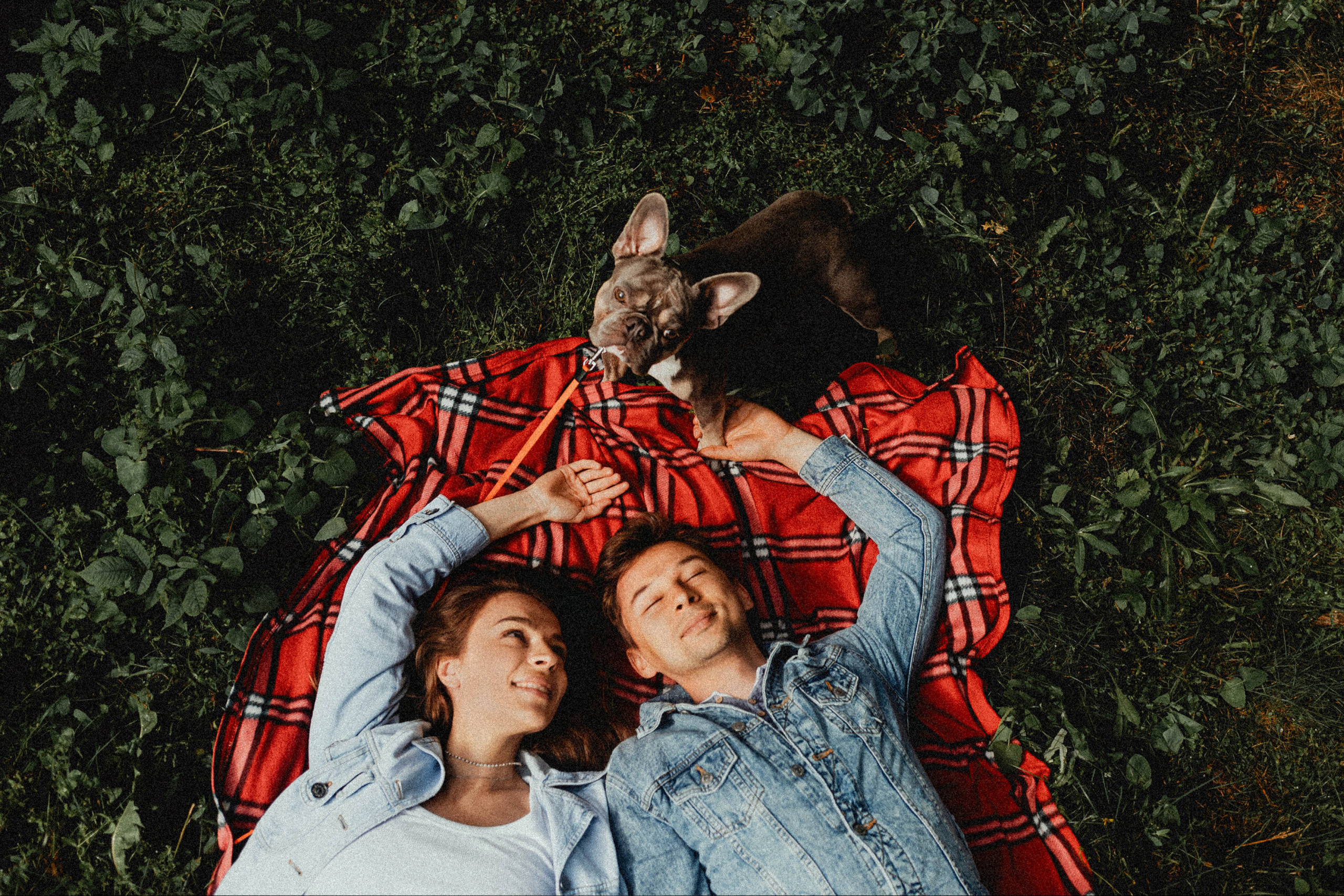 Регина, Сережа и Шелдон