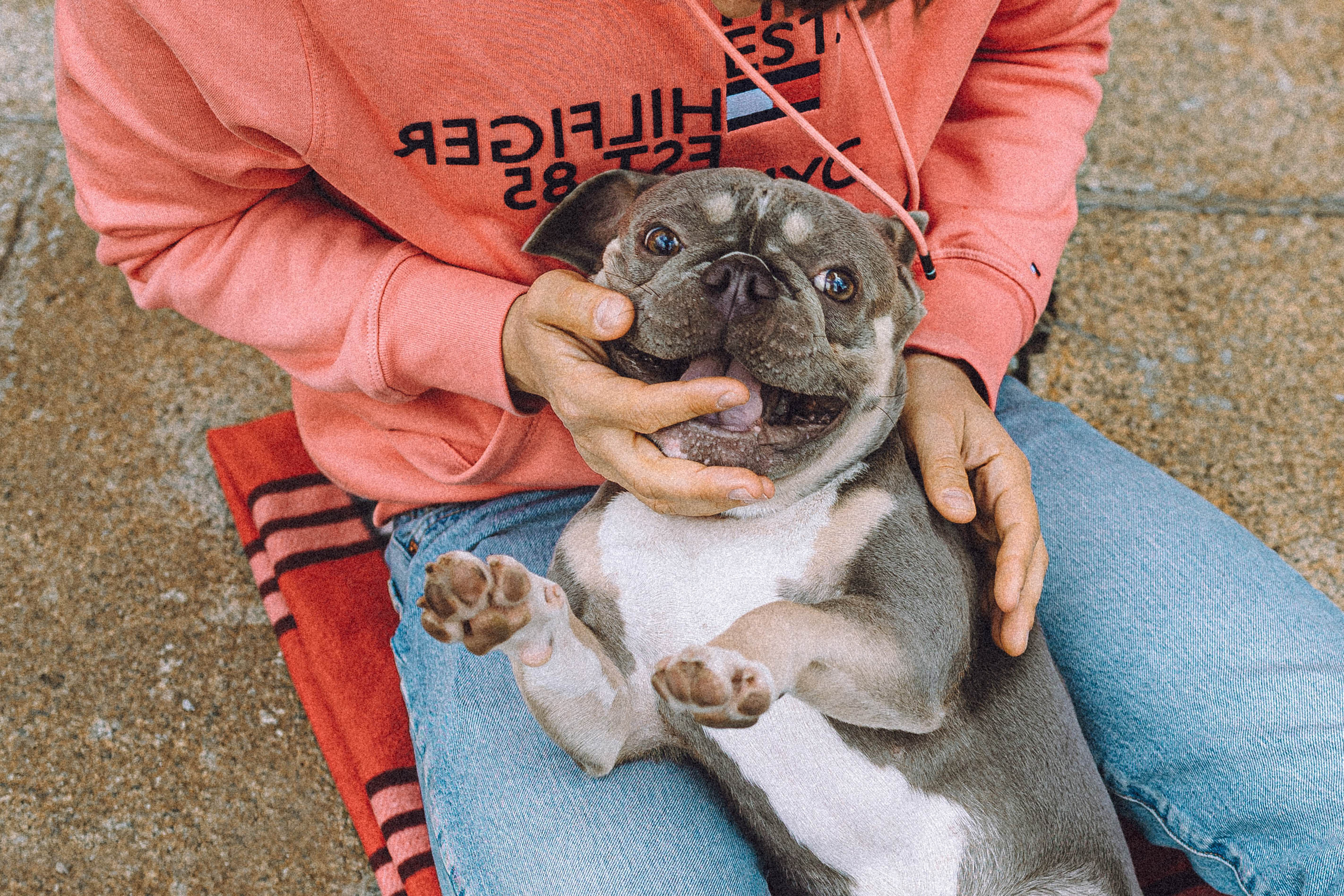 Регина, Сережа и Шелдон