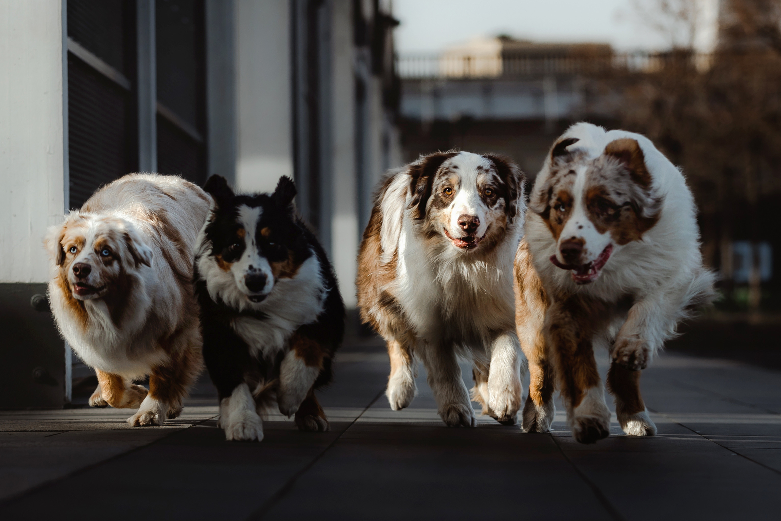 Маша и ее семья