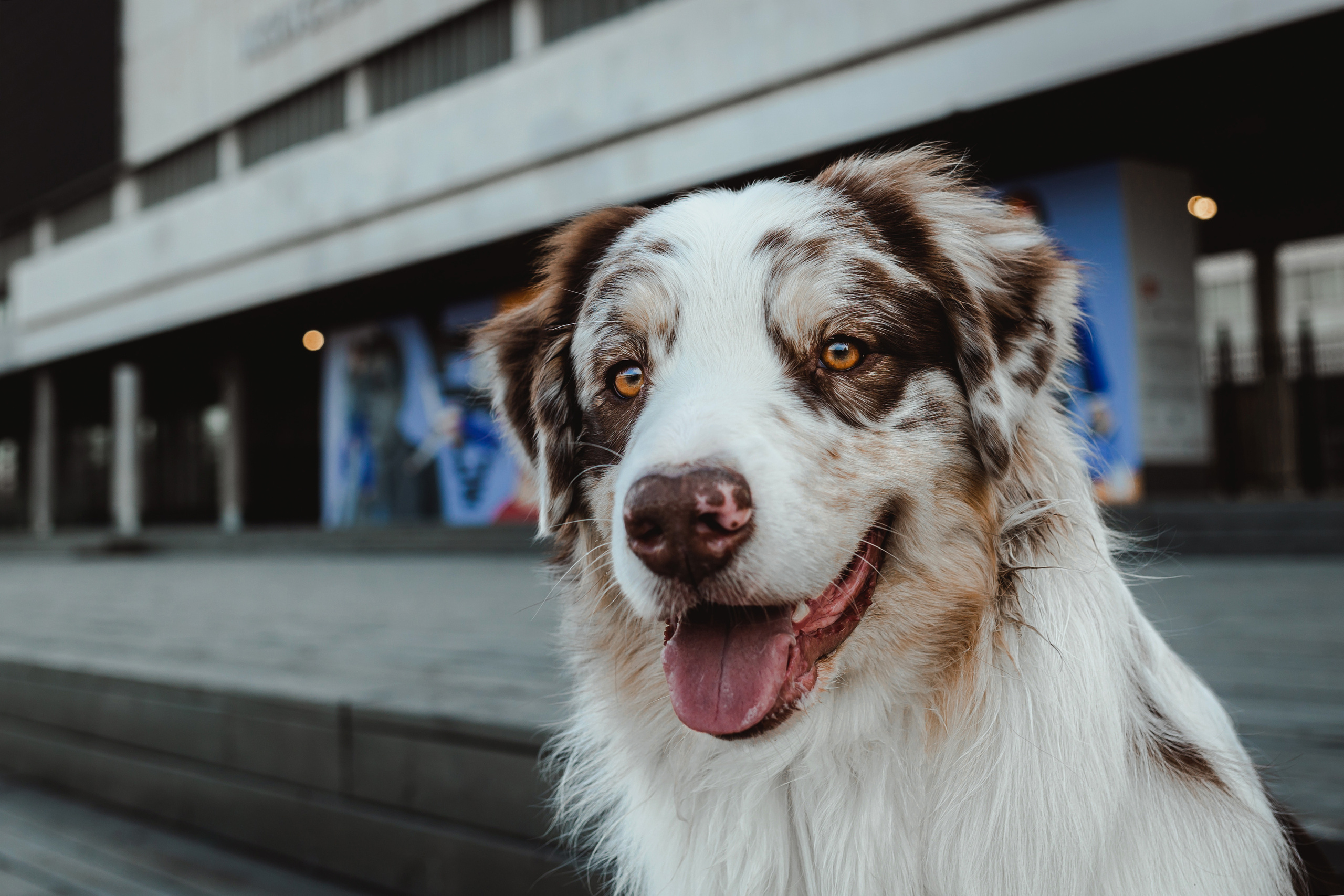 Маша и ее семья