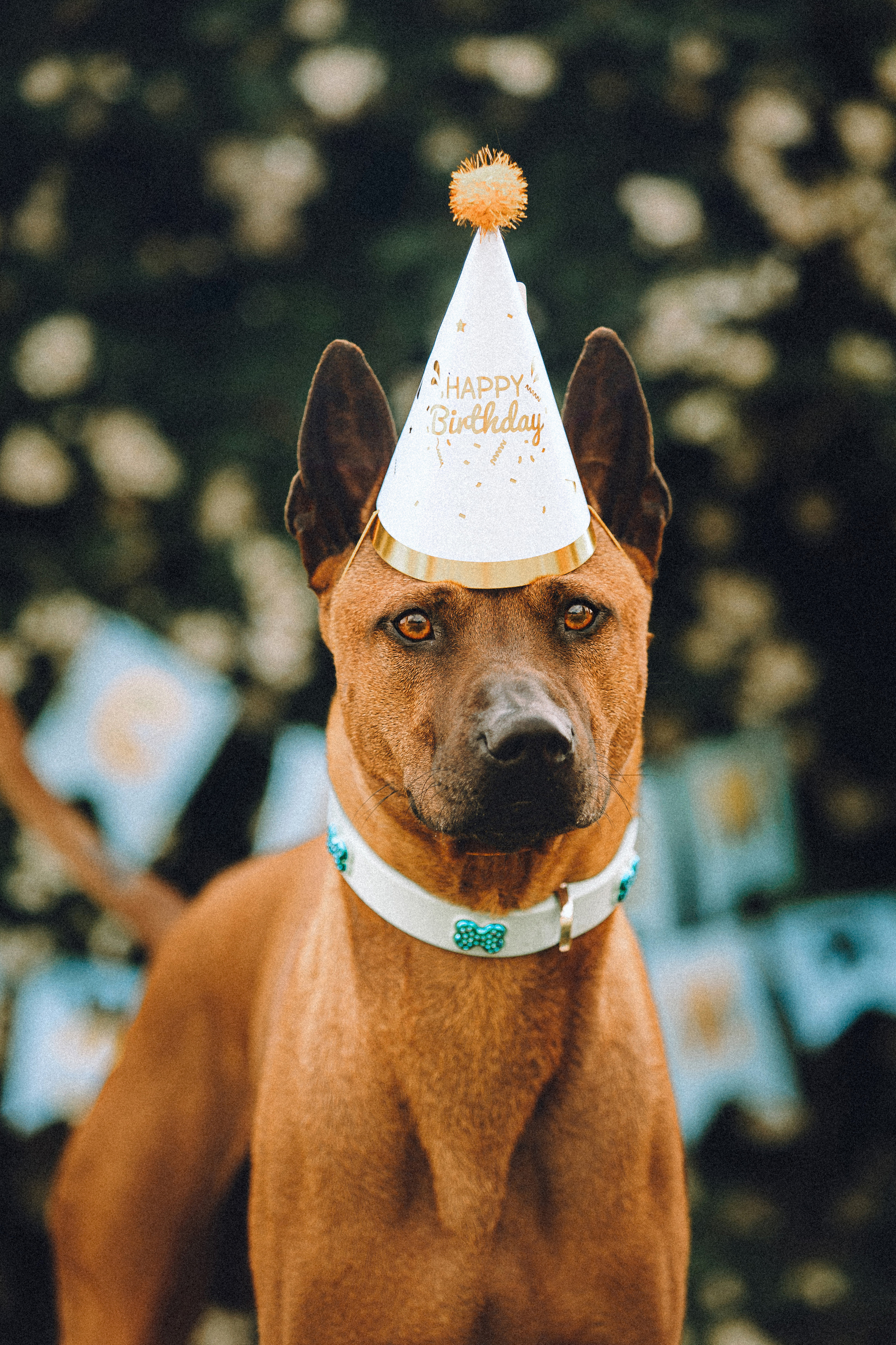 Оксана и Зевс