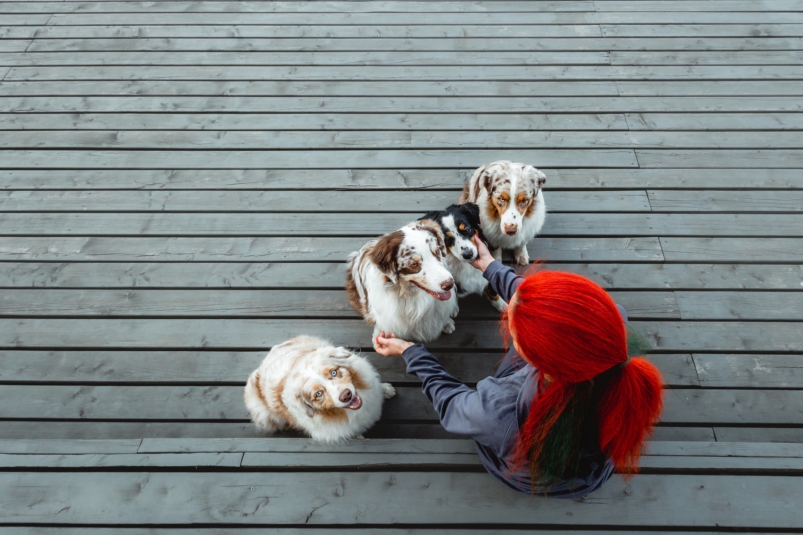 Маша и ее семья