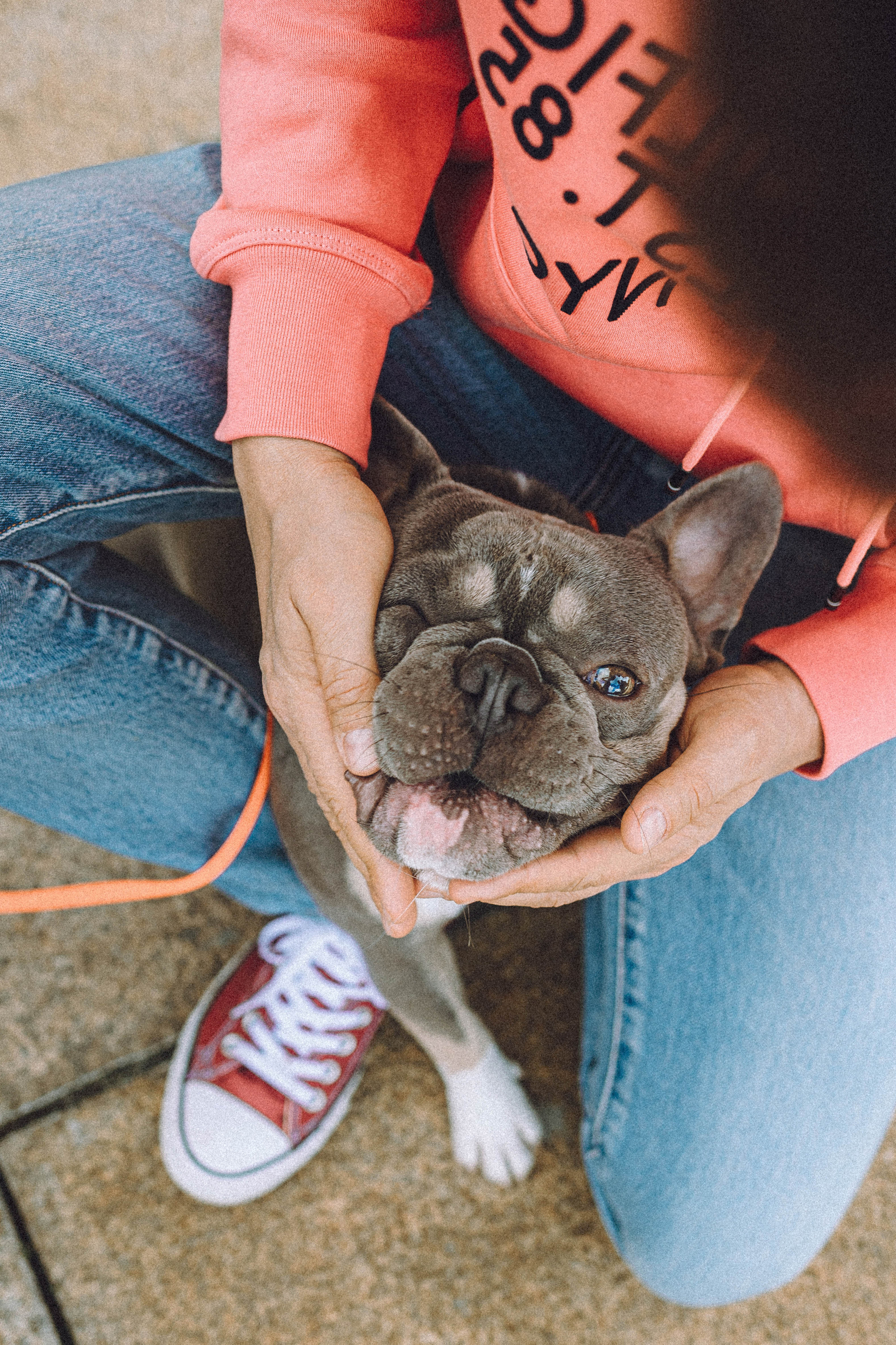 Регина, Сережа и Шелдон