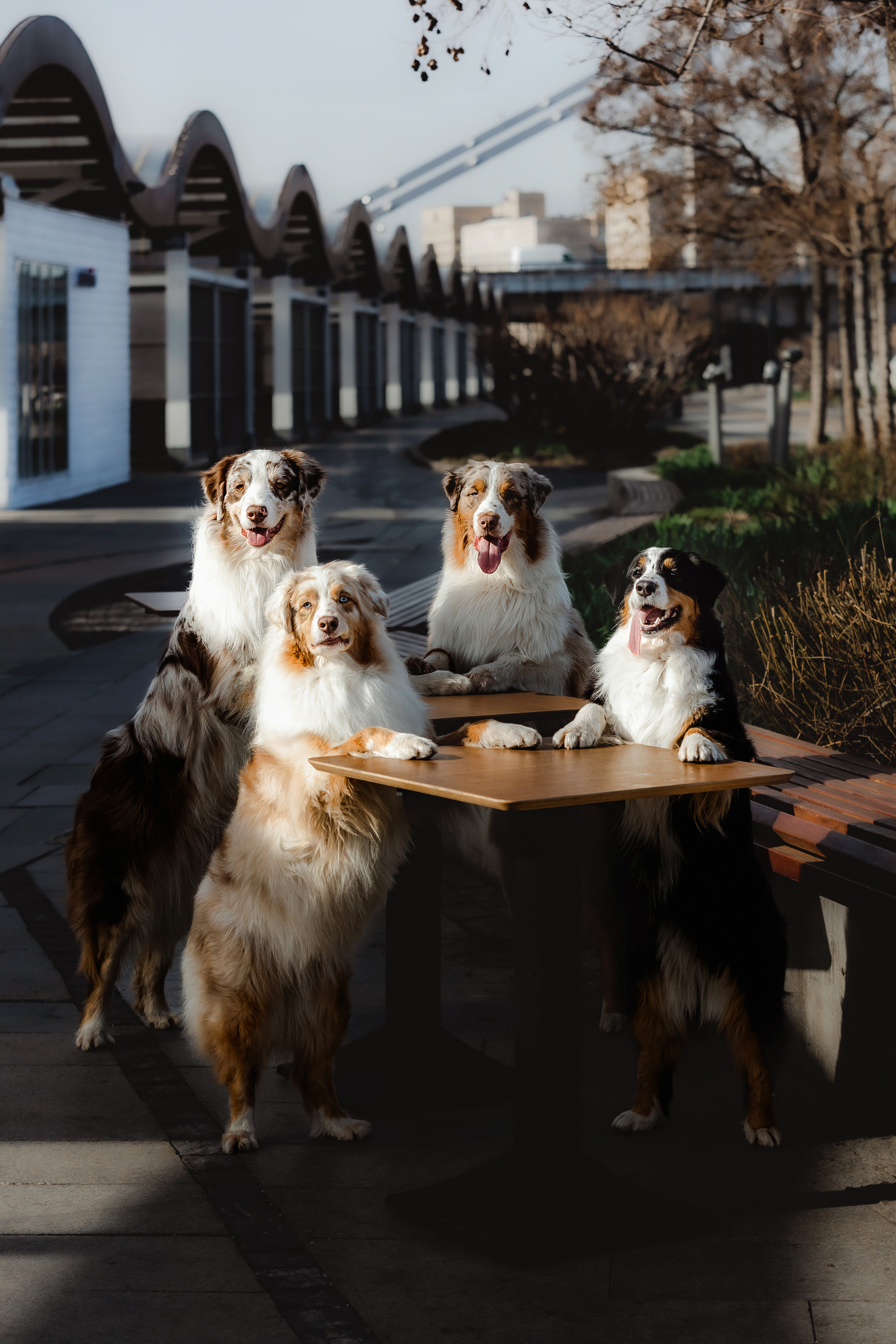 Маша и ее семья