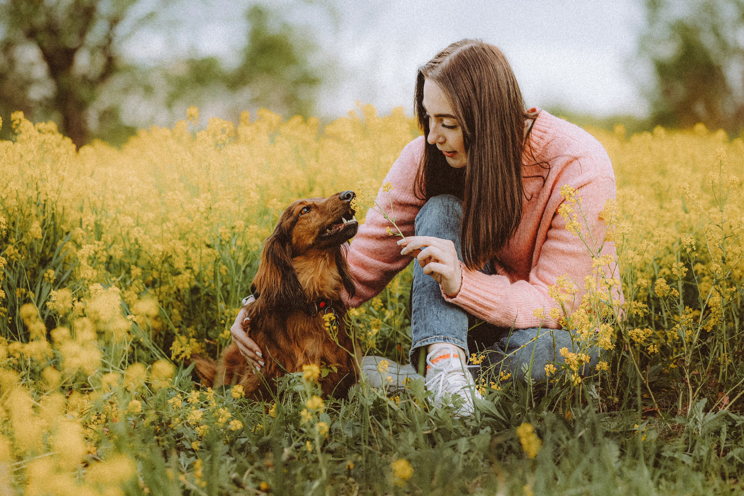 Джаз, Остин и их семья