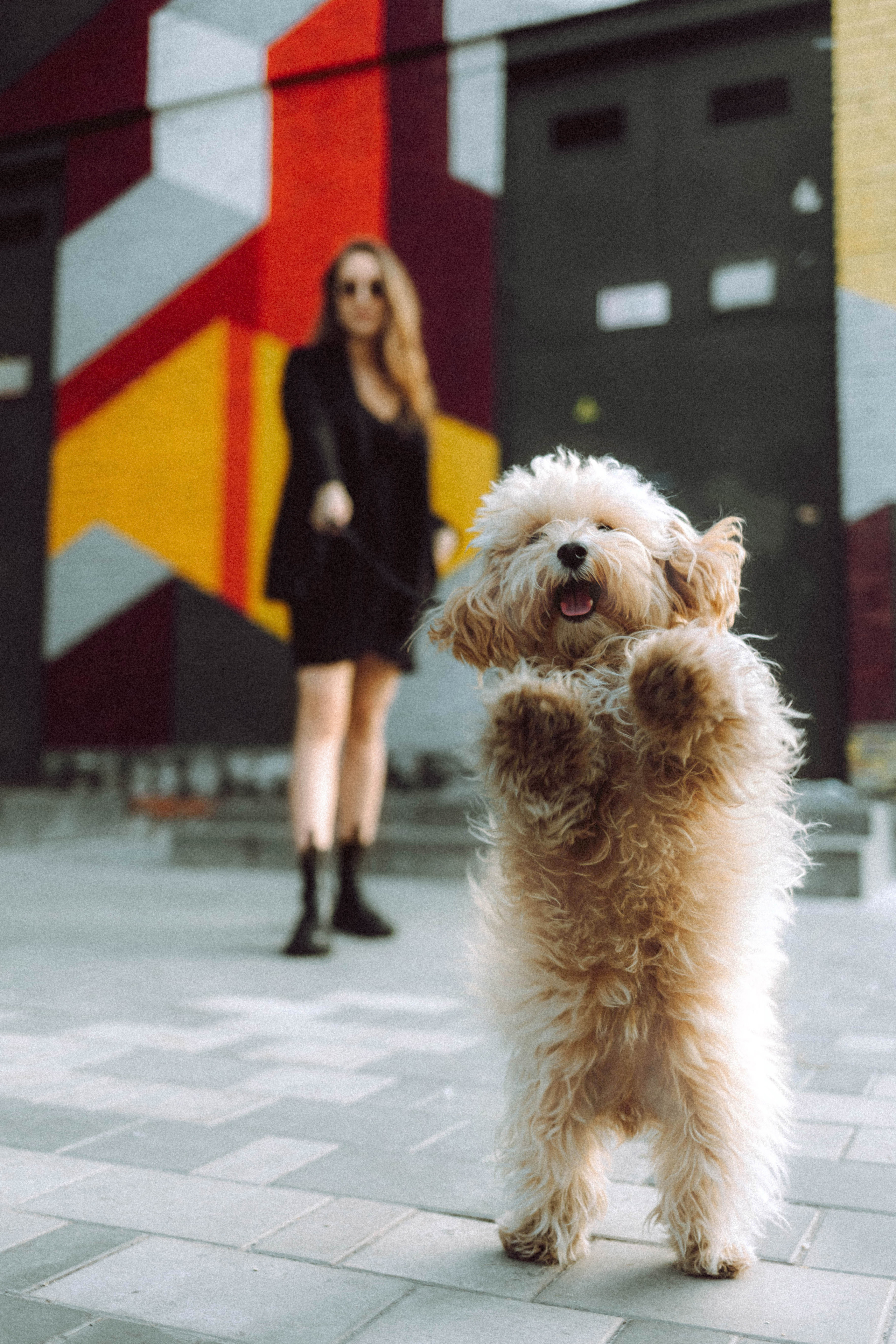 Настя и Симба