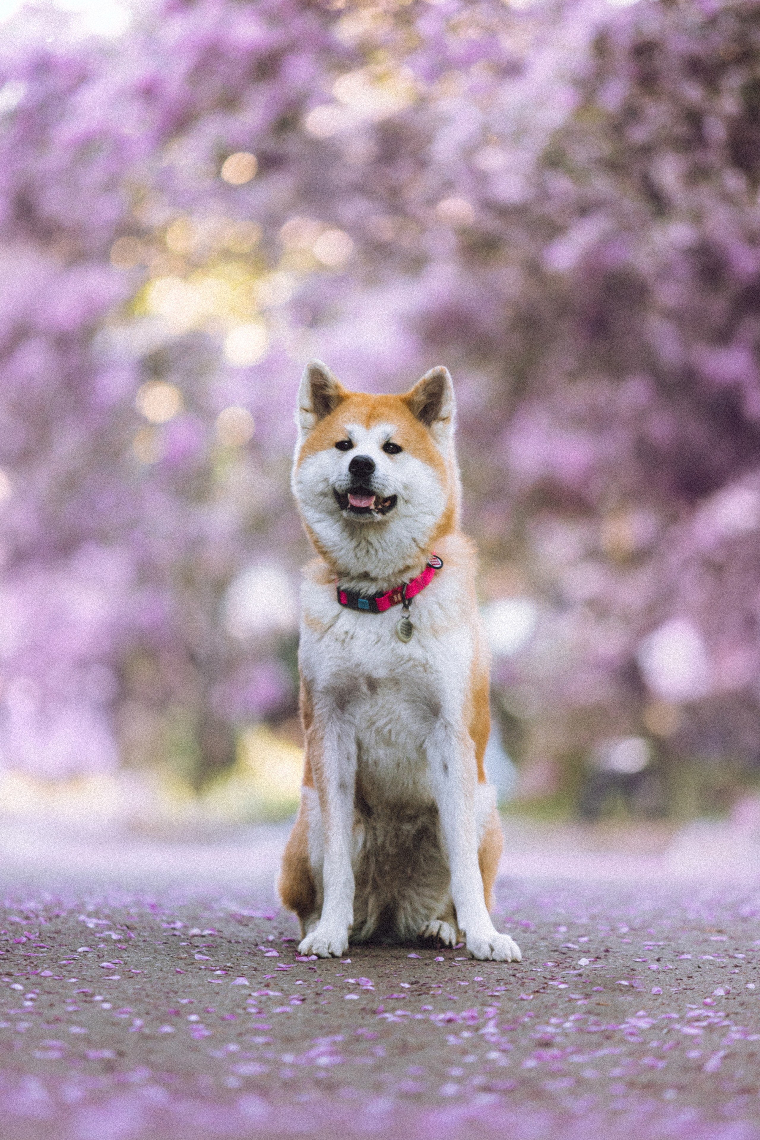 Ксюша, Андрей и Юки