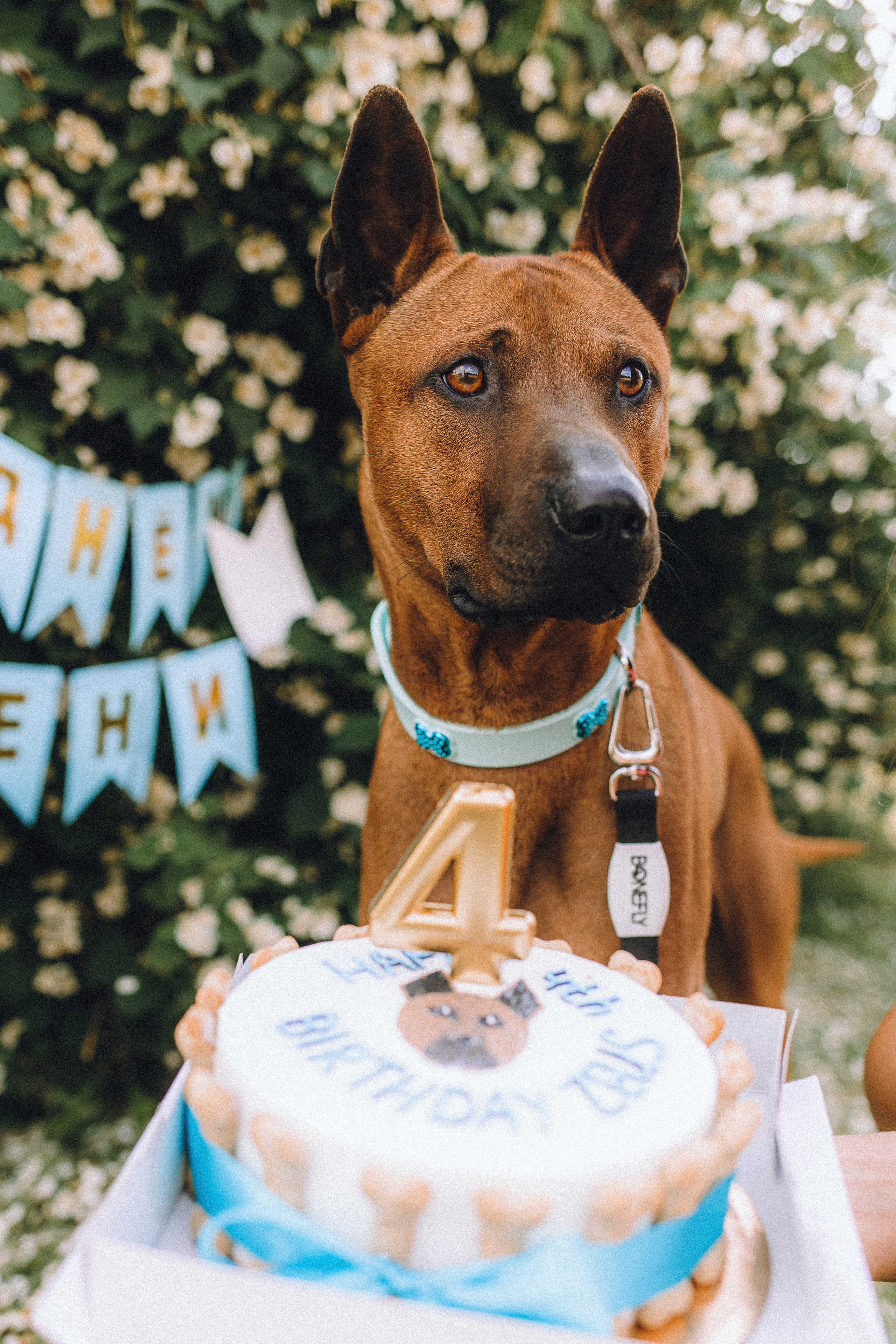 Оксана и Зевс