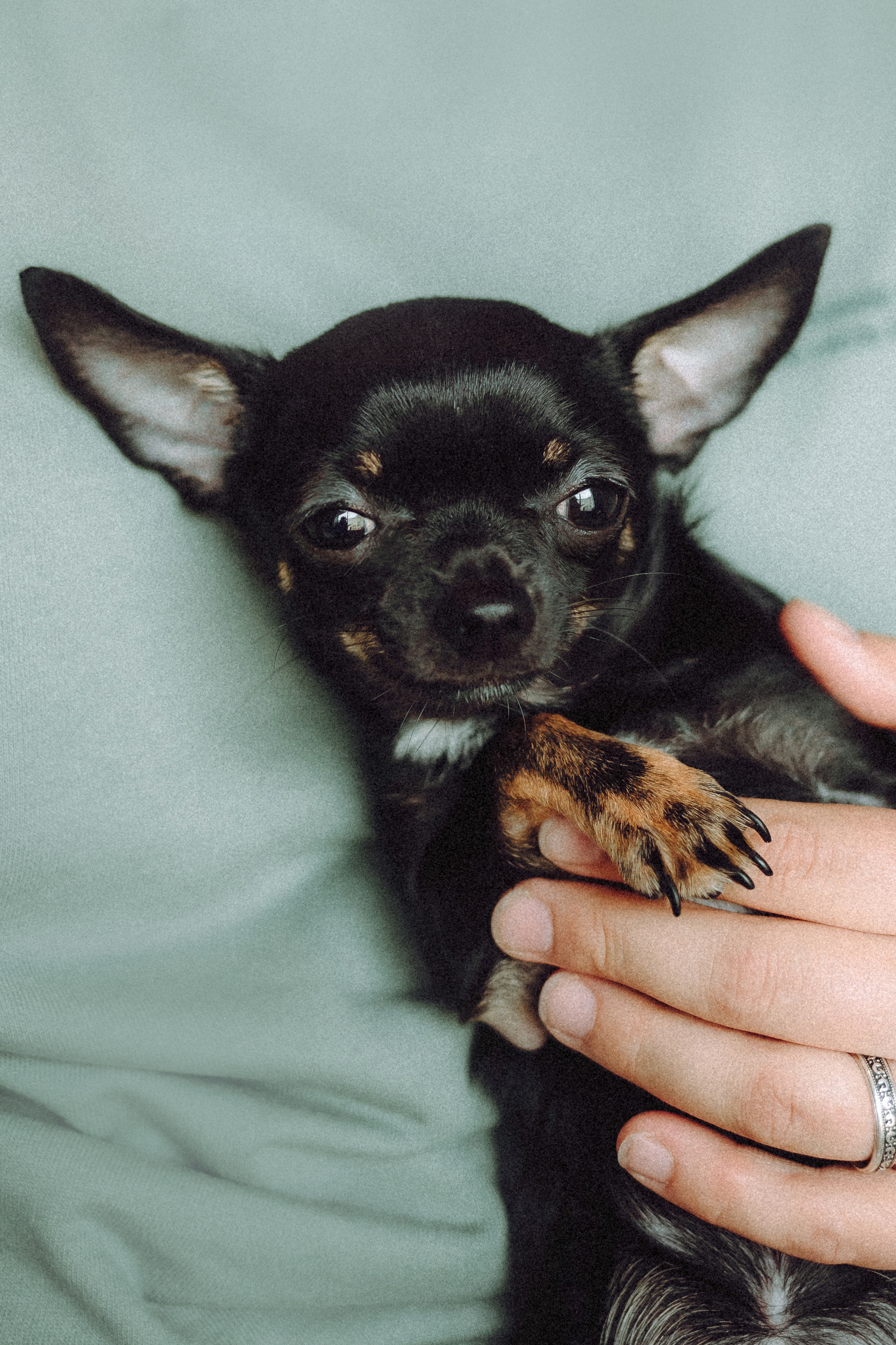 Марк, Челси, Маша и их семья