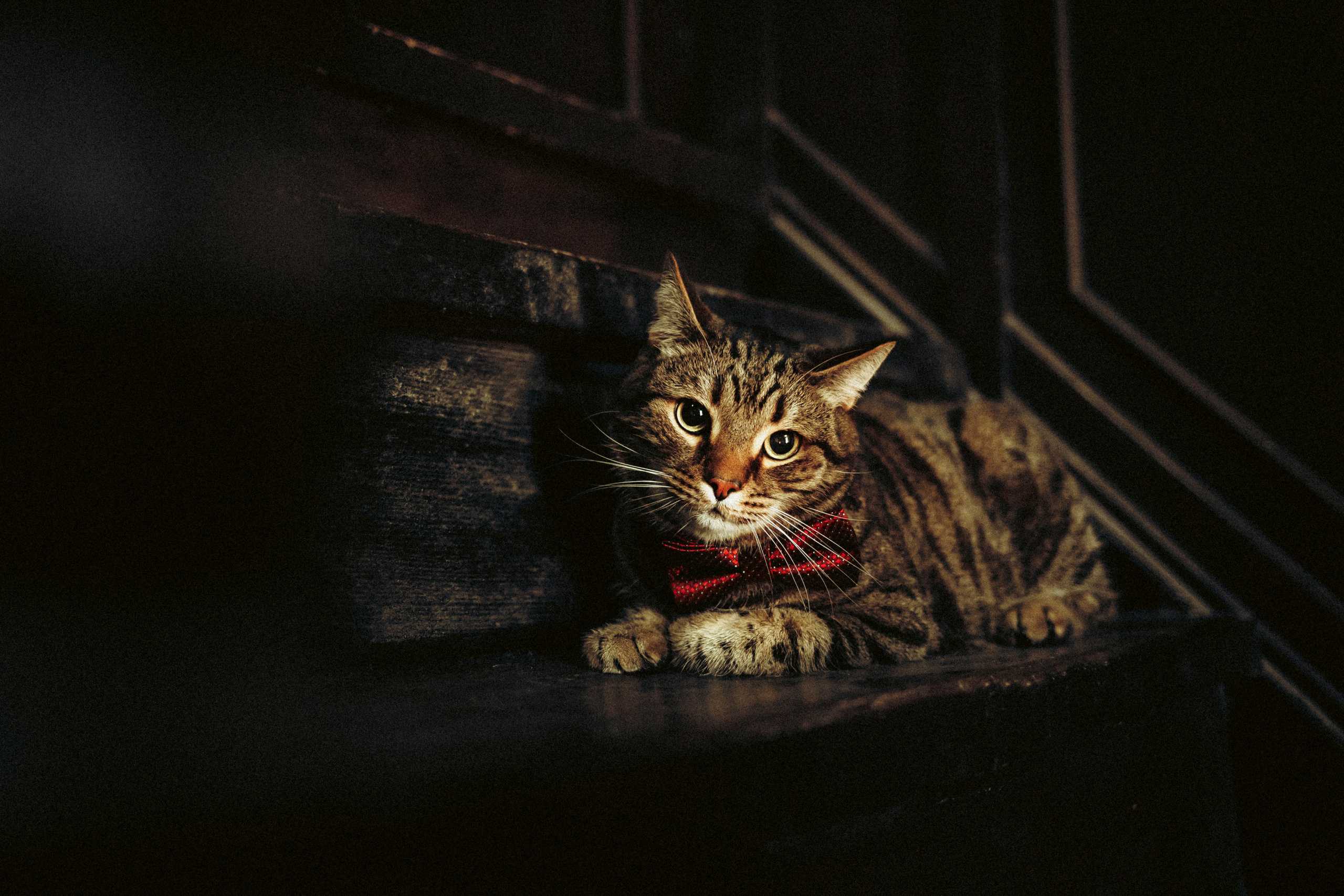 Вика, Вова и Клепа