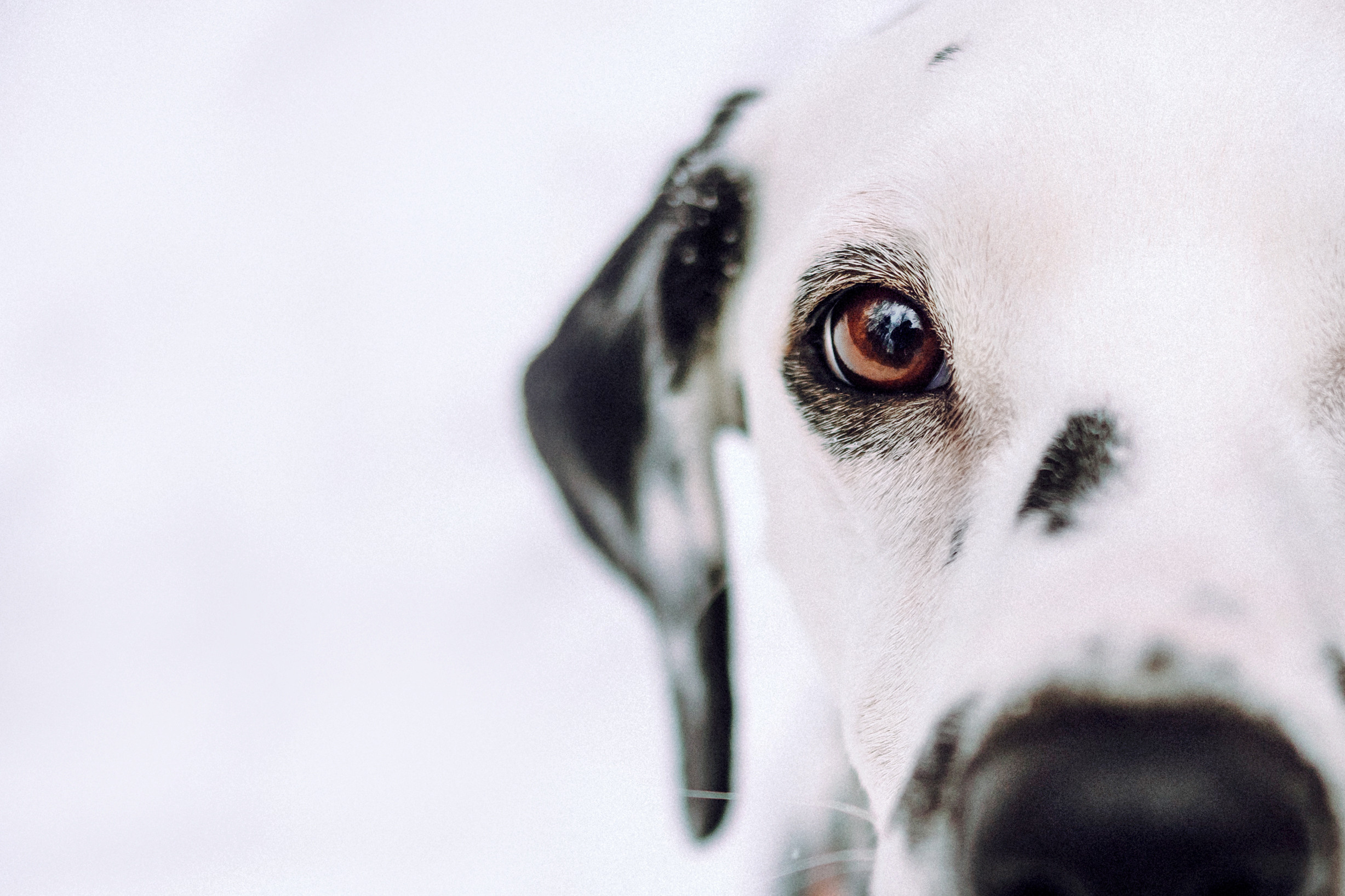 Кристина, Леша и Санта