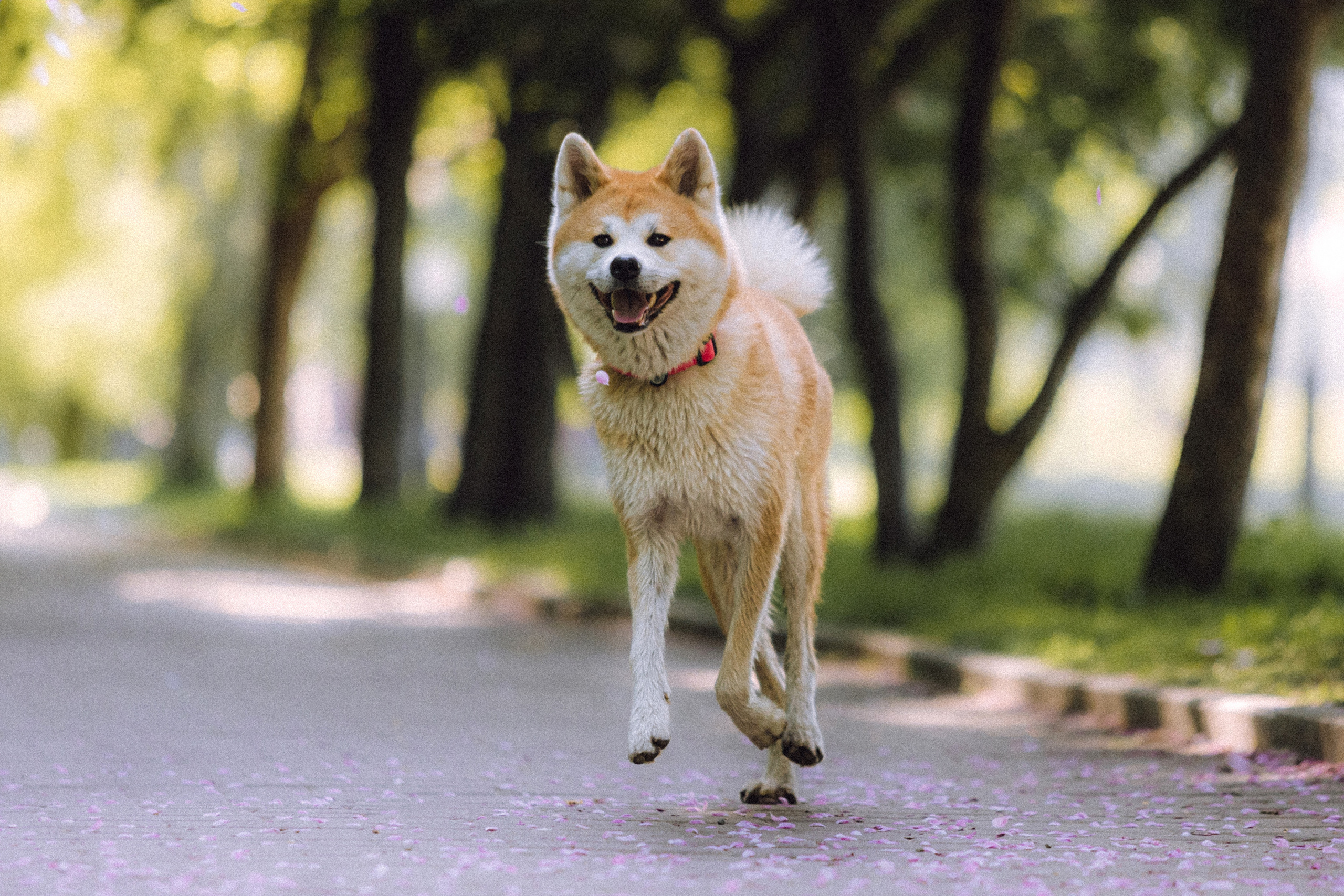 Ксюша, Андрей и Юки