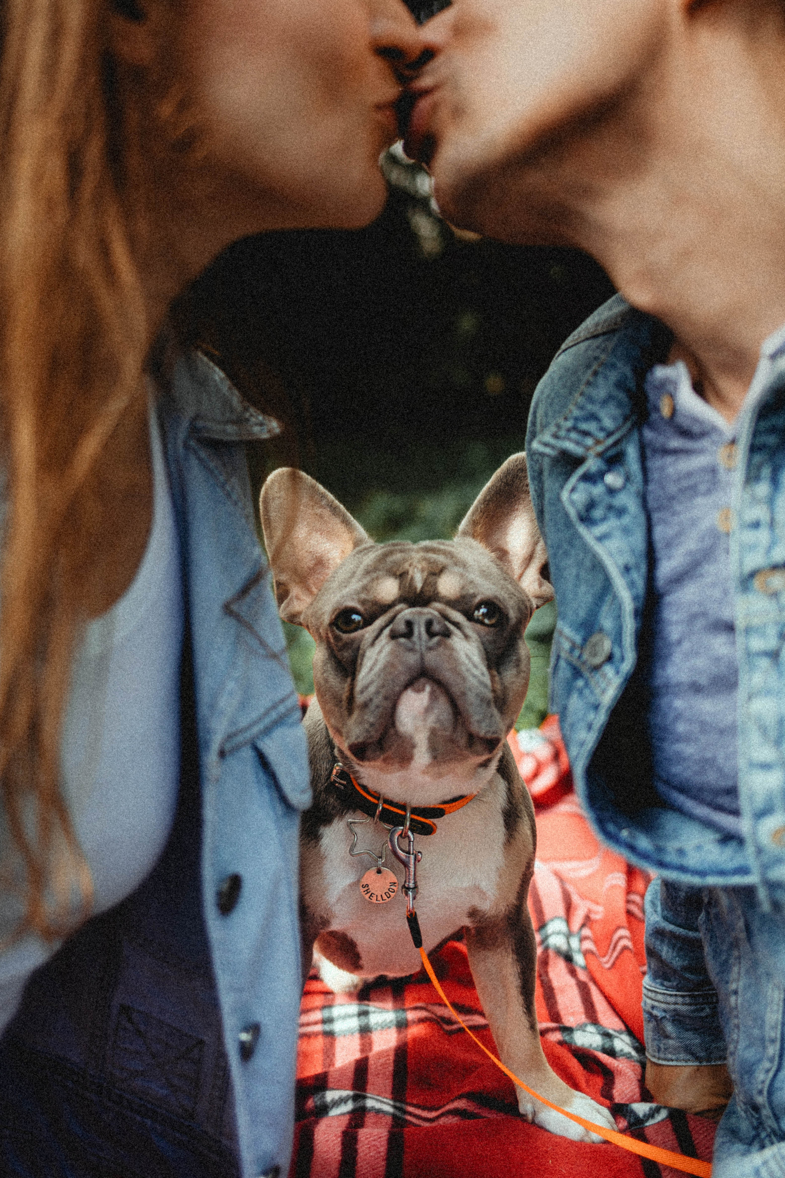 Регина, Сережа и Шелдон