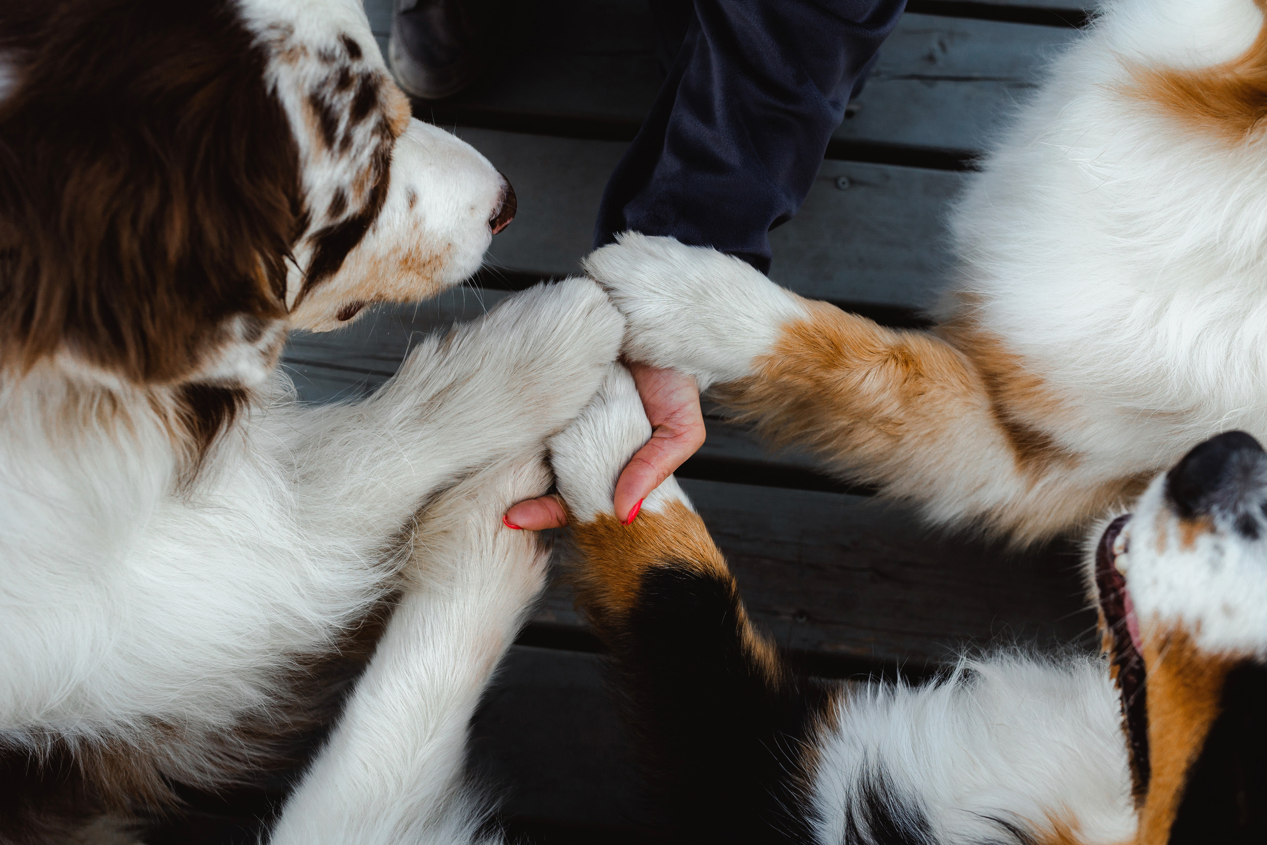 Маша и ее семья