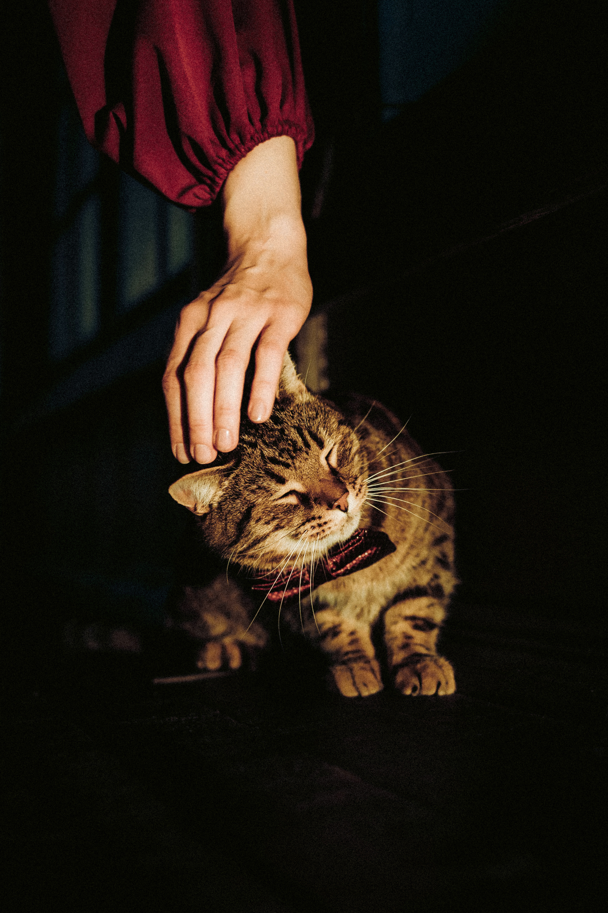 Вика, Вова и Клепа