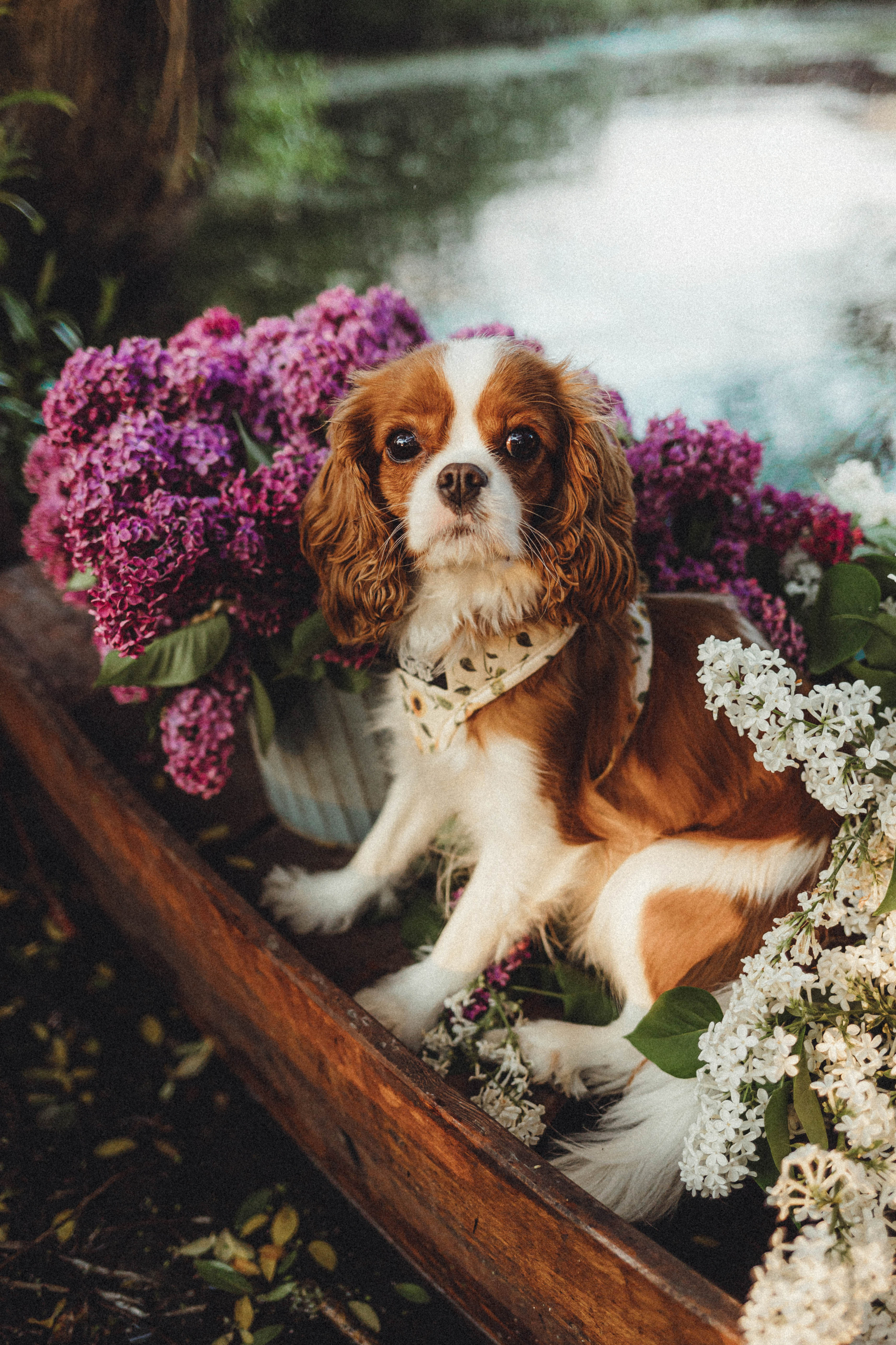 Валя, Аня и Ириска