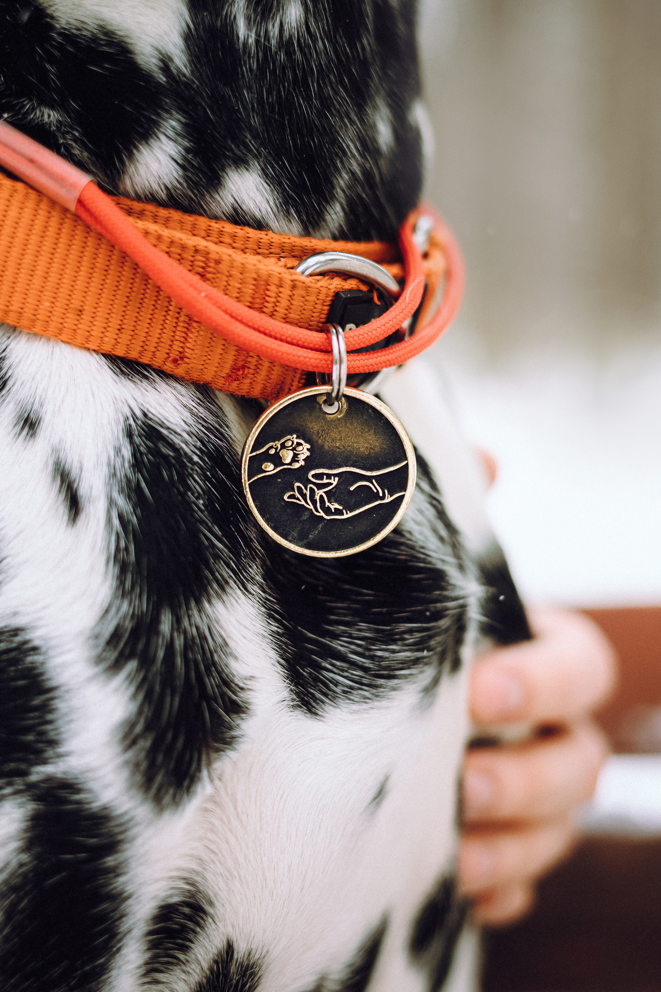 Кристина, Леша и Санта