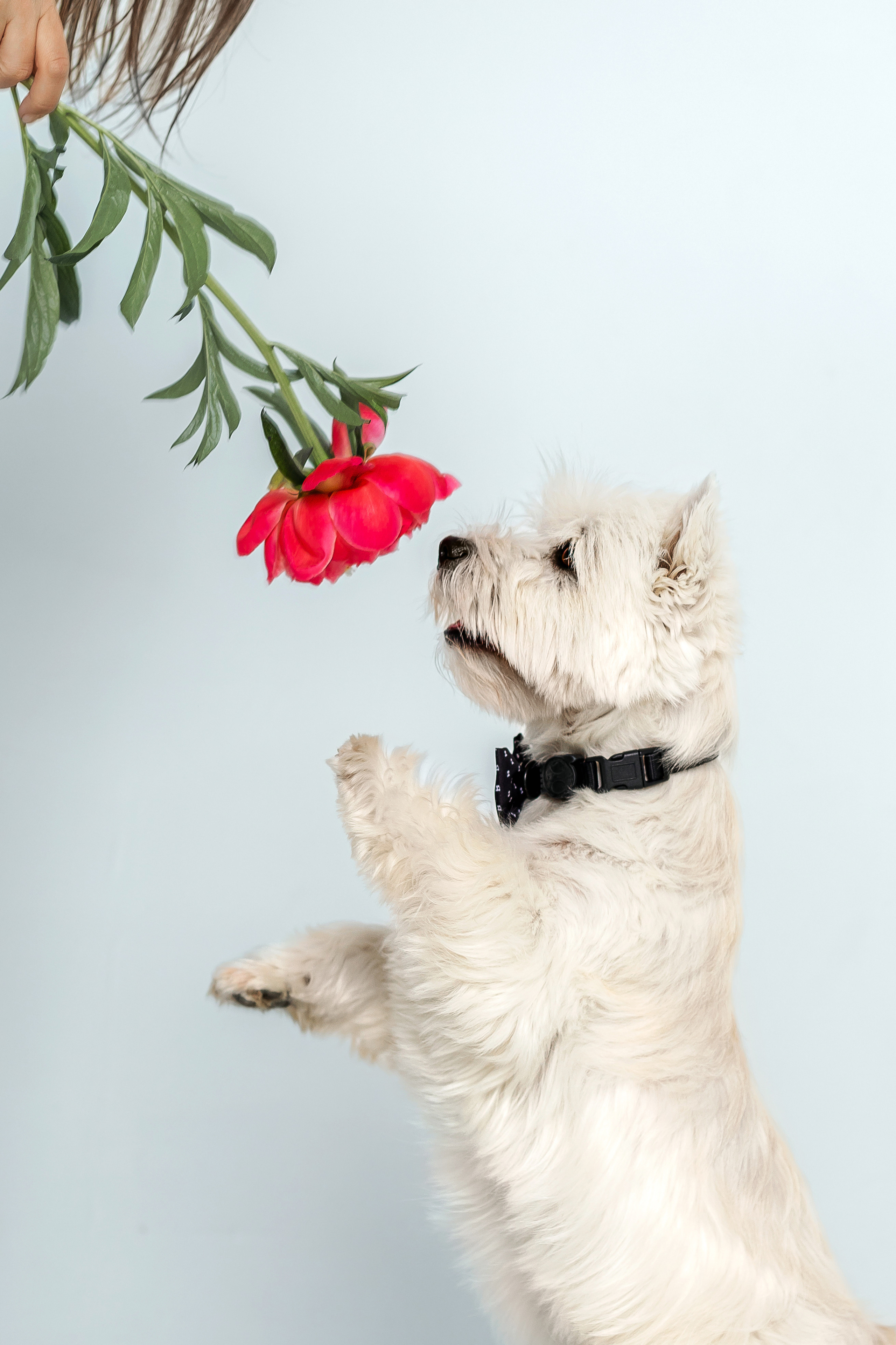 Вера и Бакс