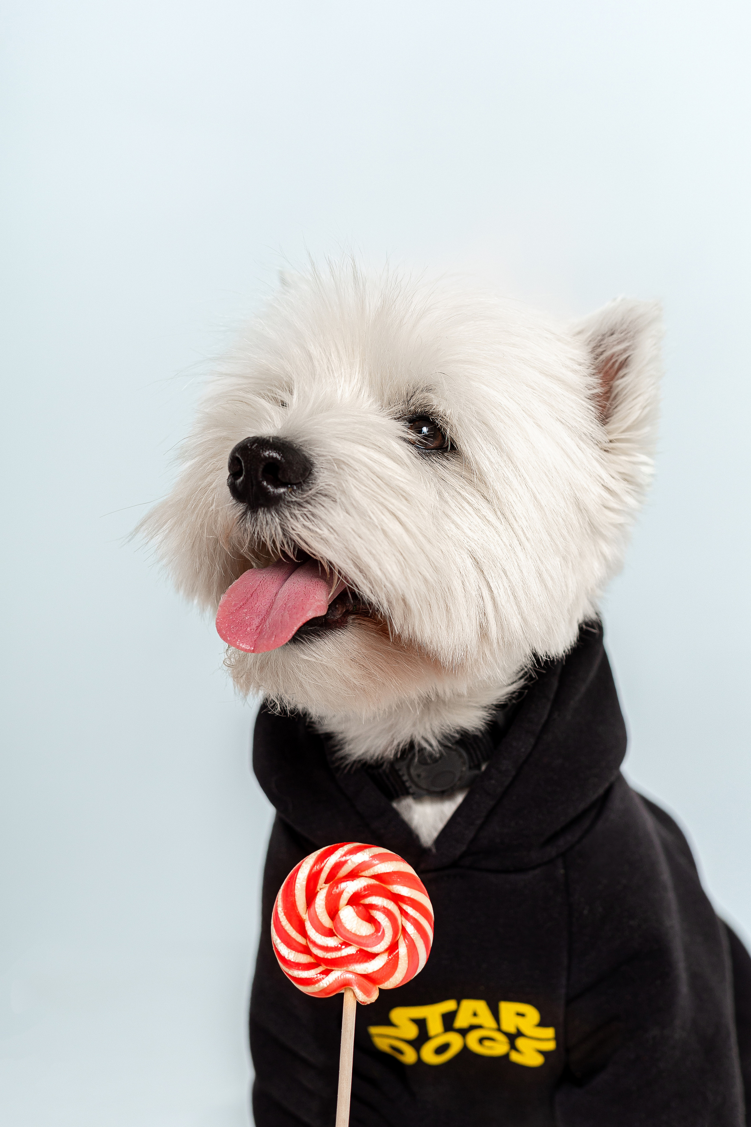 Вера и Бакс