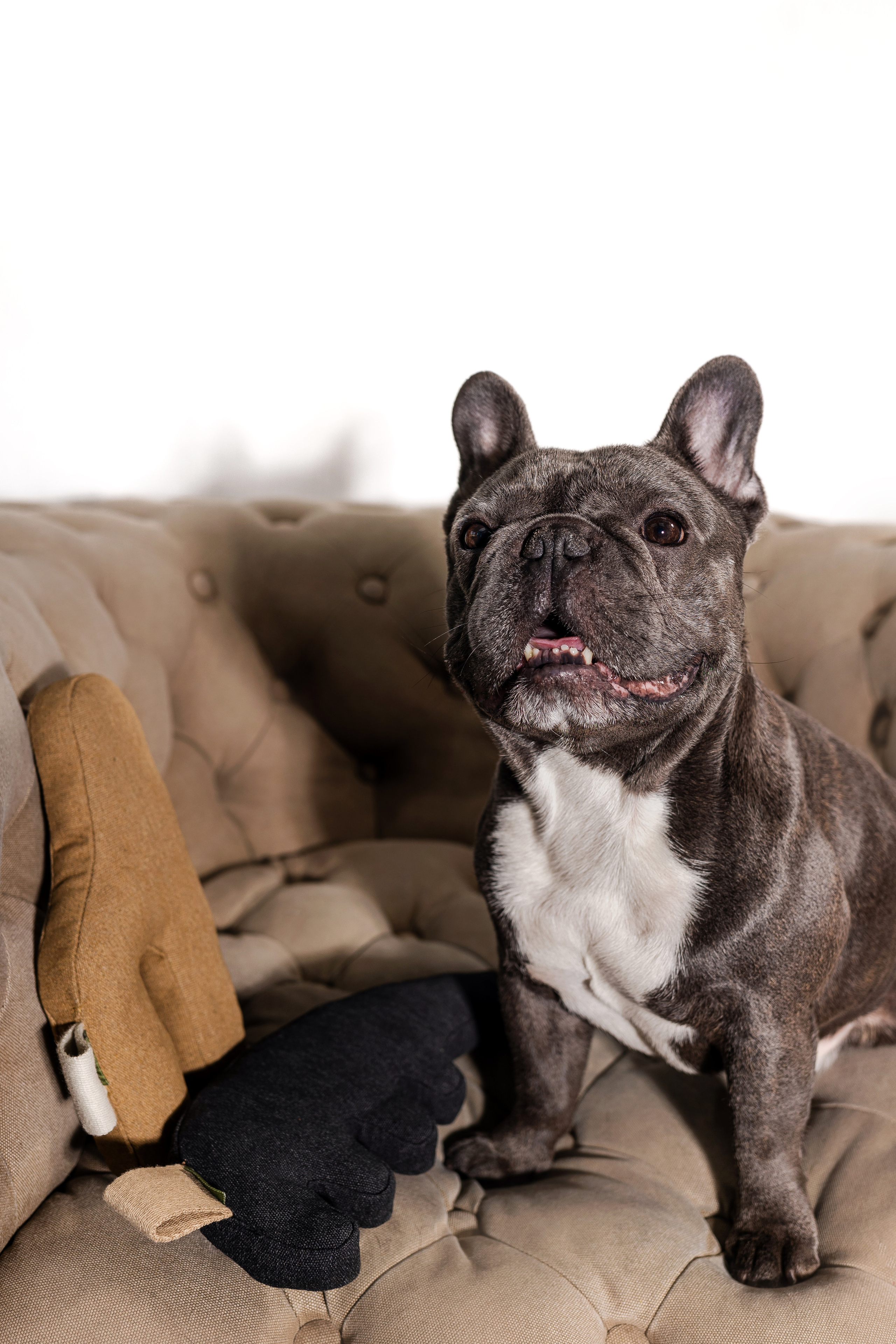 Съемка для MGM