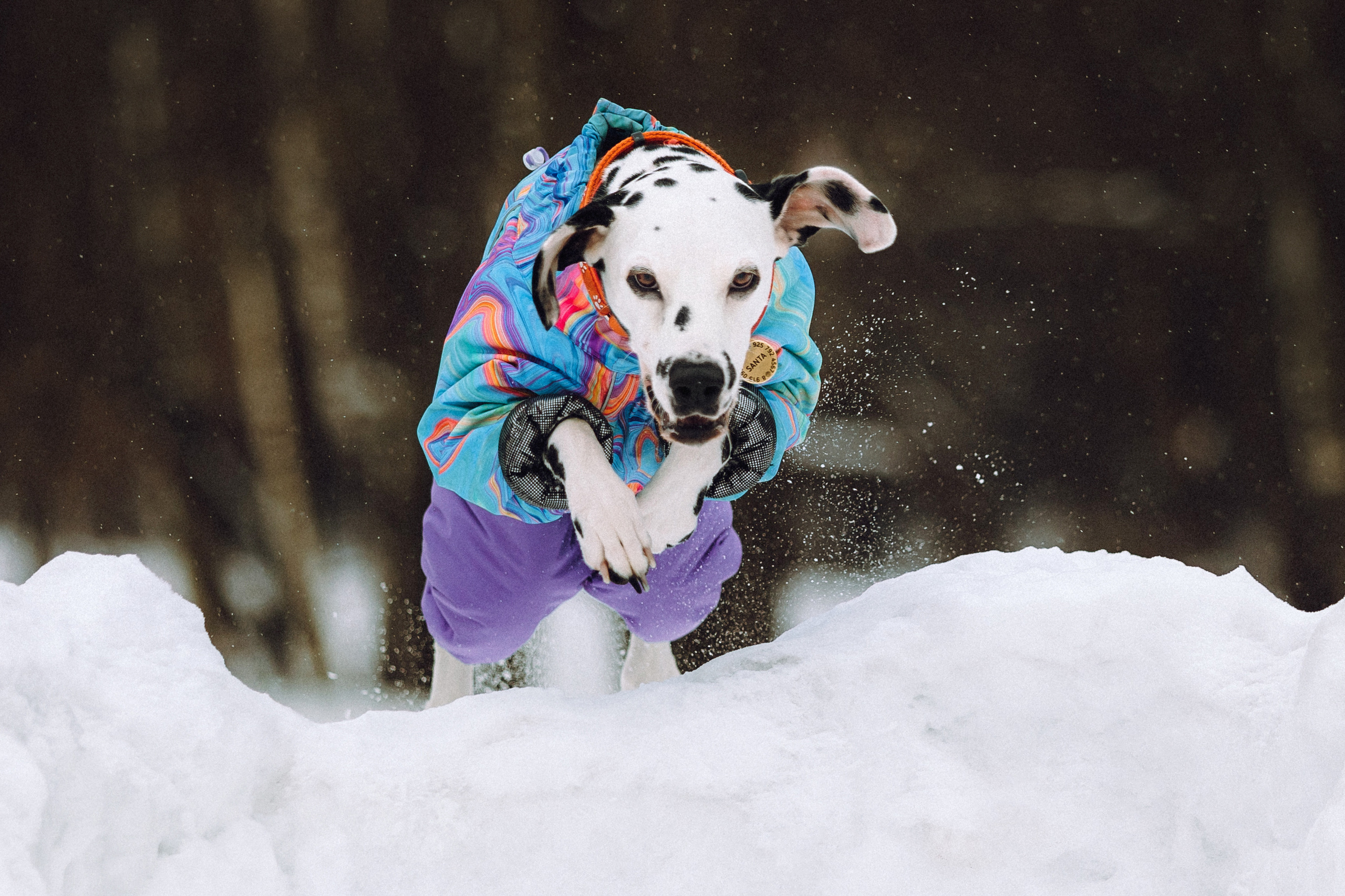Кристина, Леша и Санта