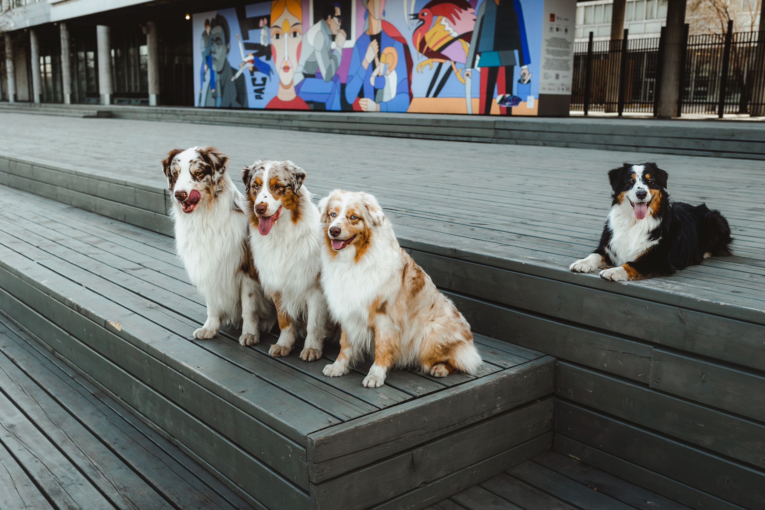 Маша и ее семья