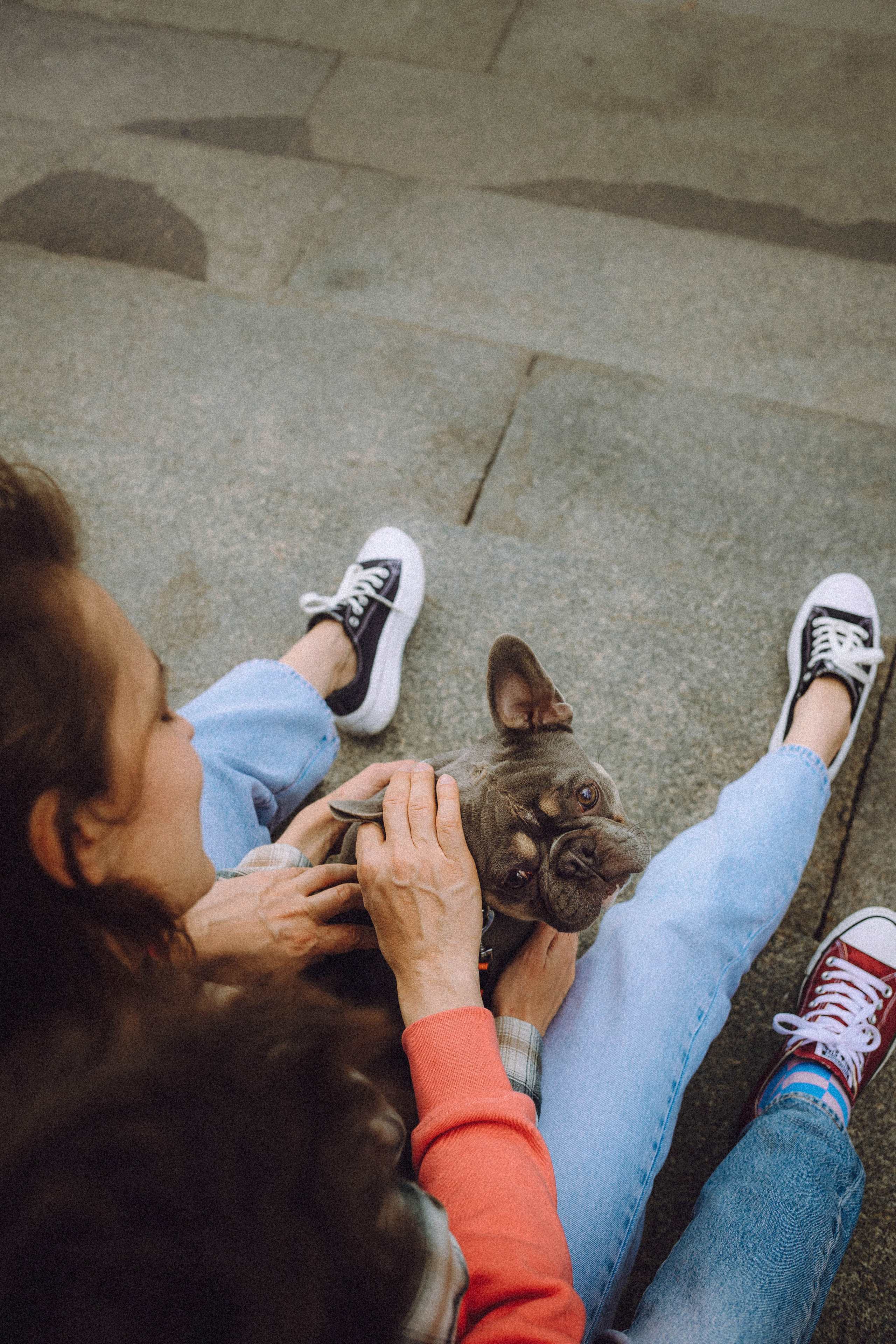 Регина, Сережа и Шелдон