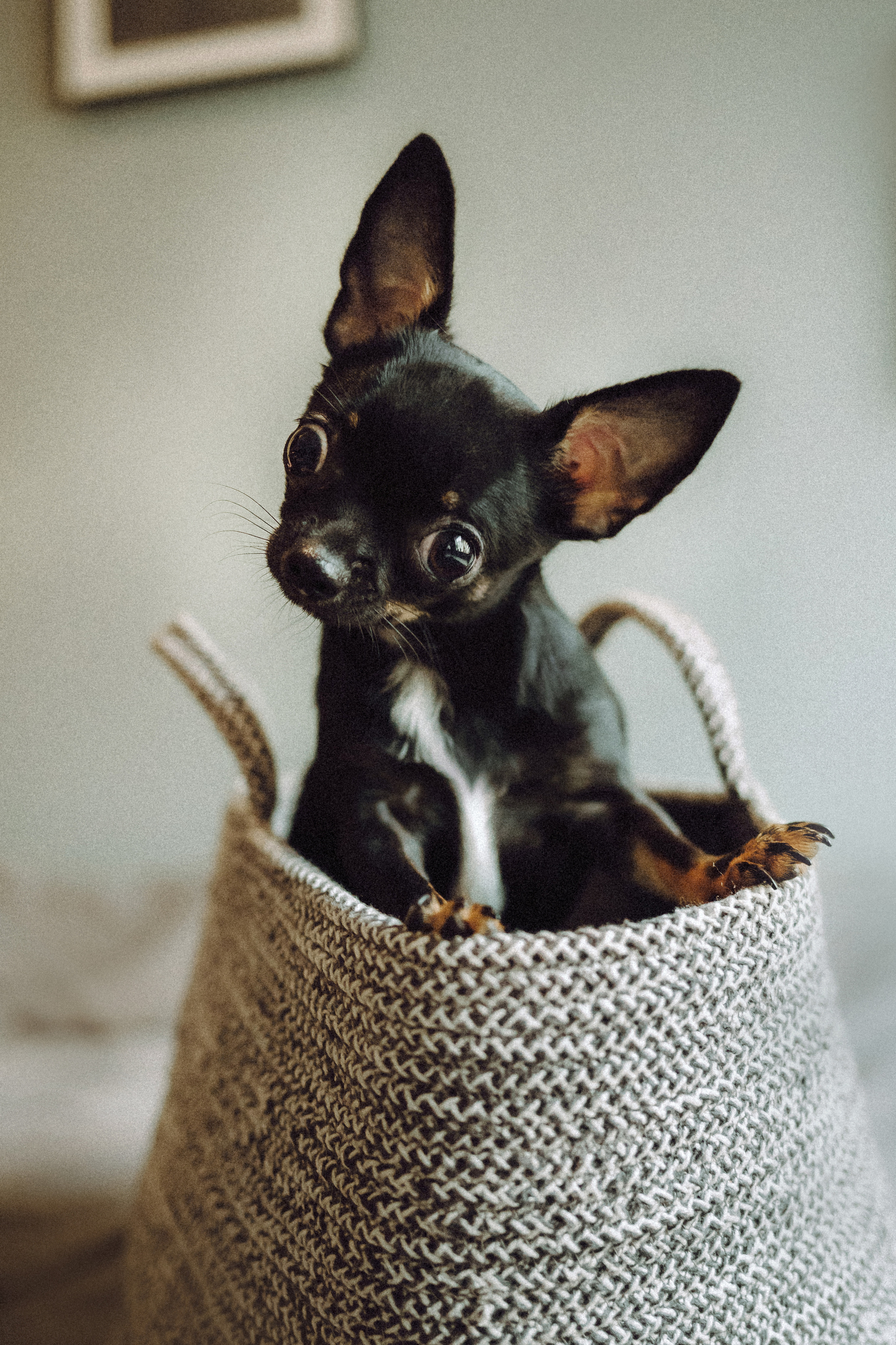 Марк, Челси, Маша и их семья