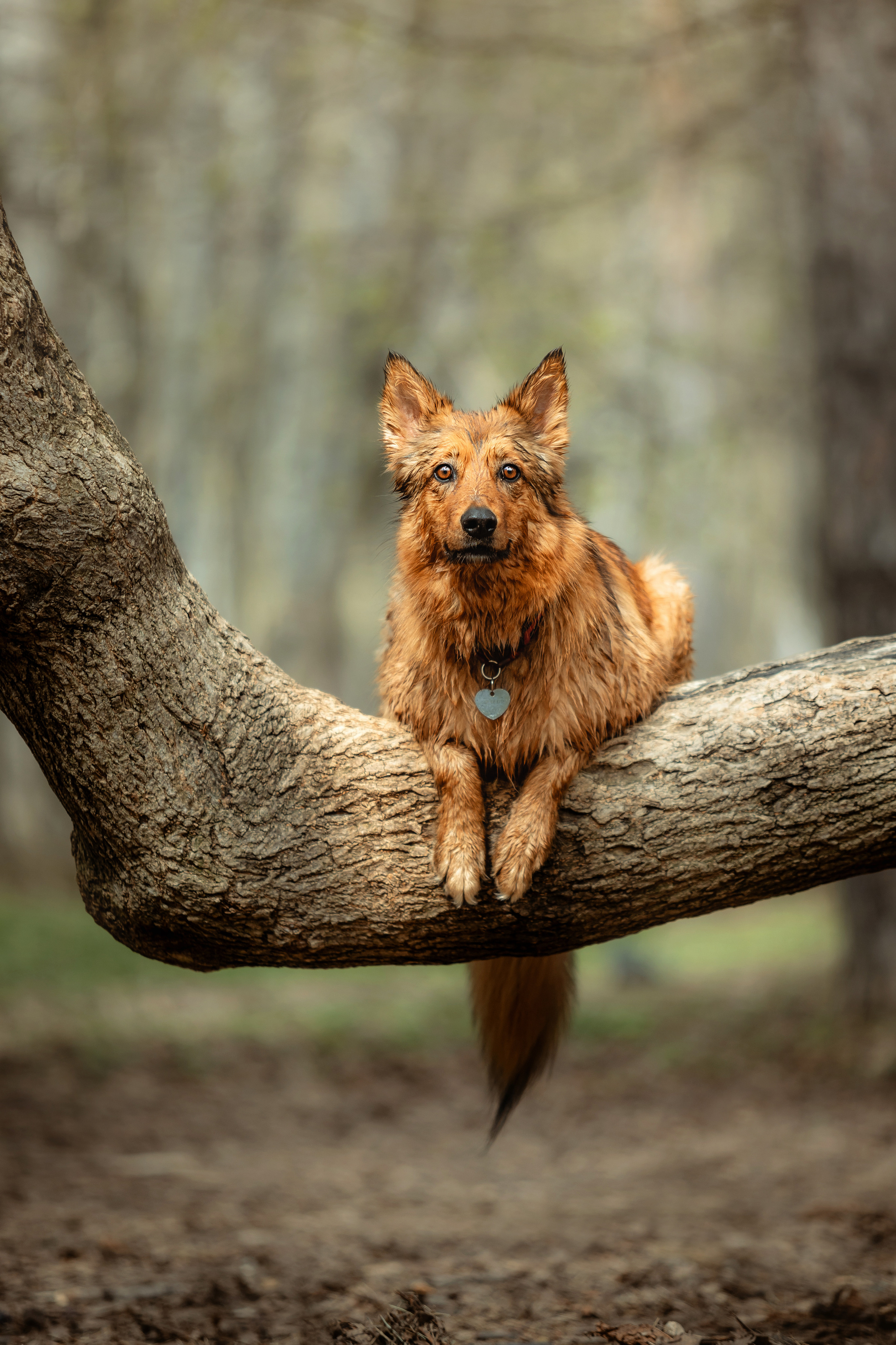 Ирина и Ника