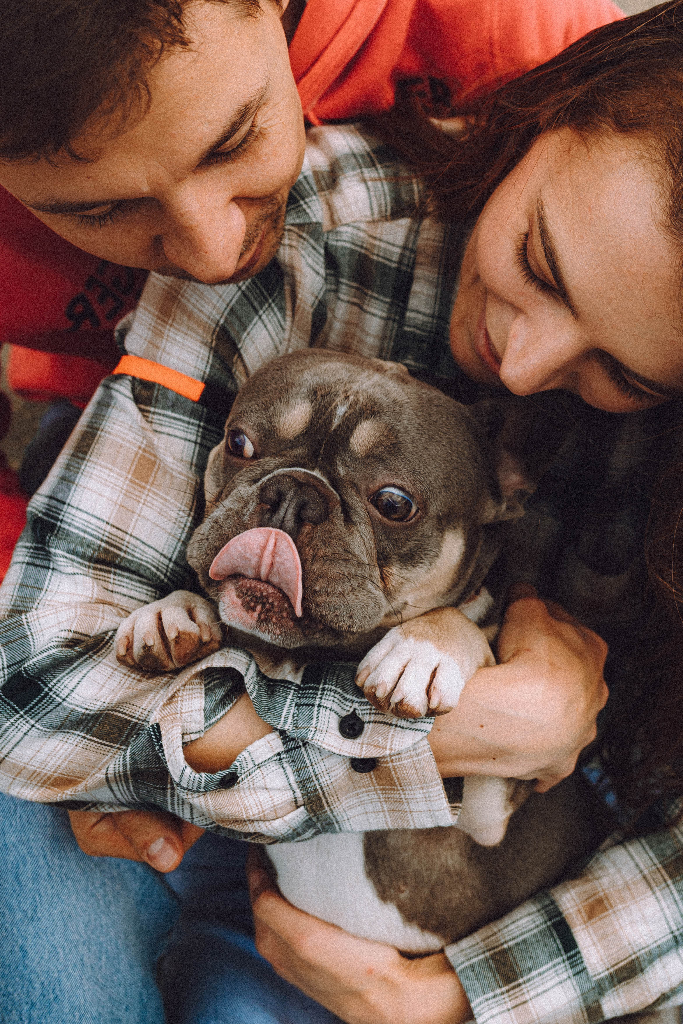 Регина, Сережа и Шелдон