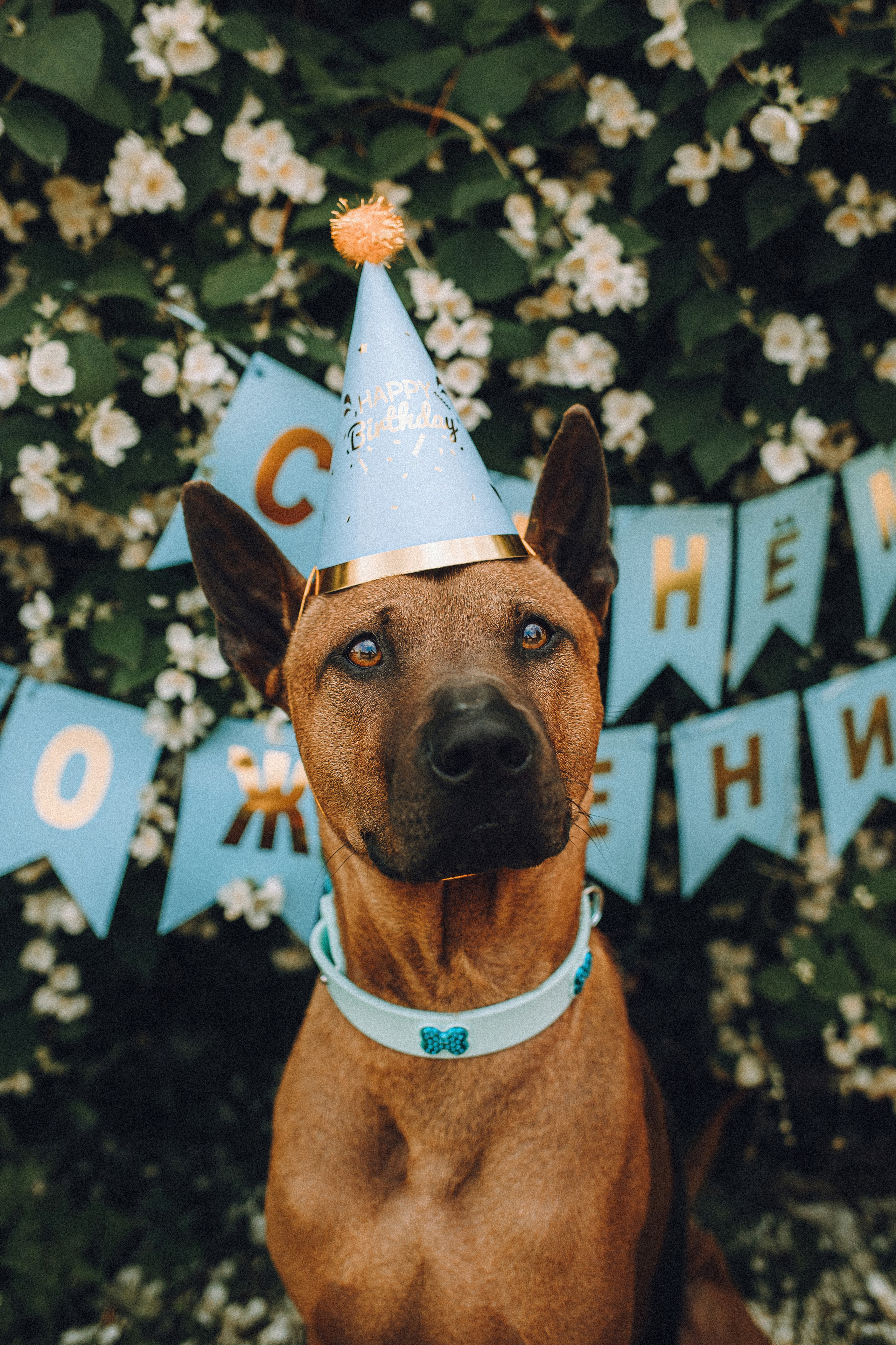 Оксана и Зевс