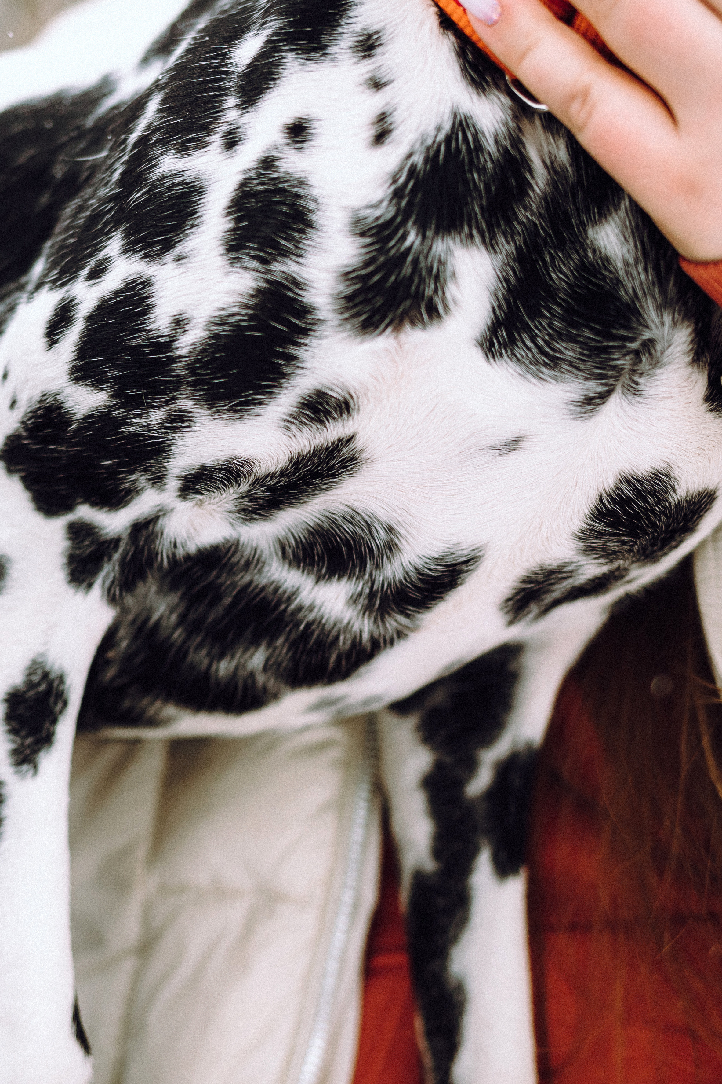 Кристина, Леша и Санта