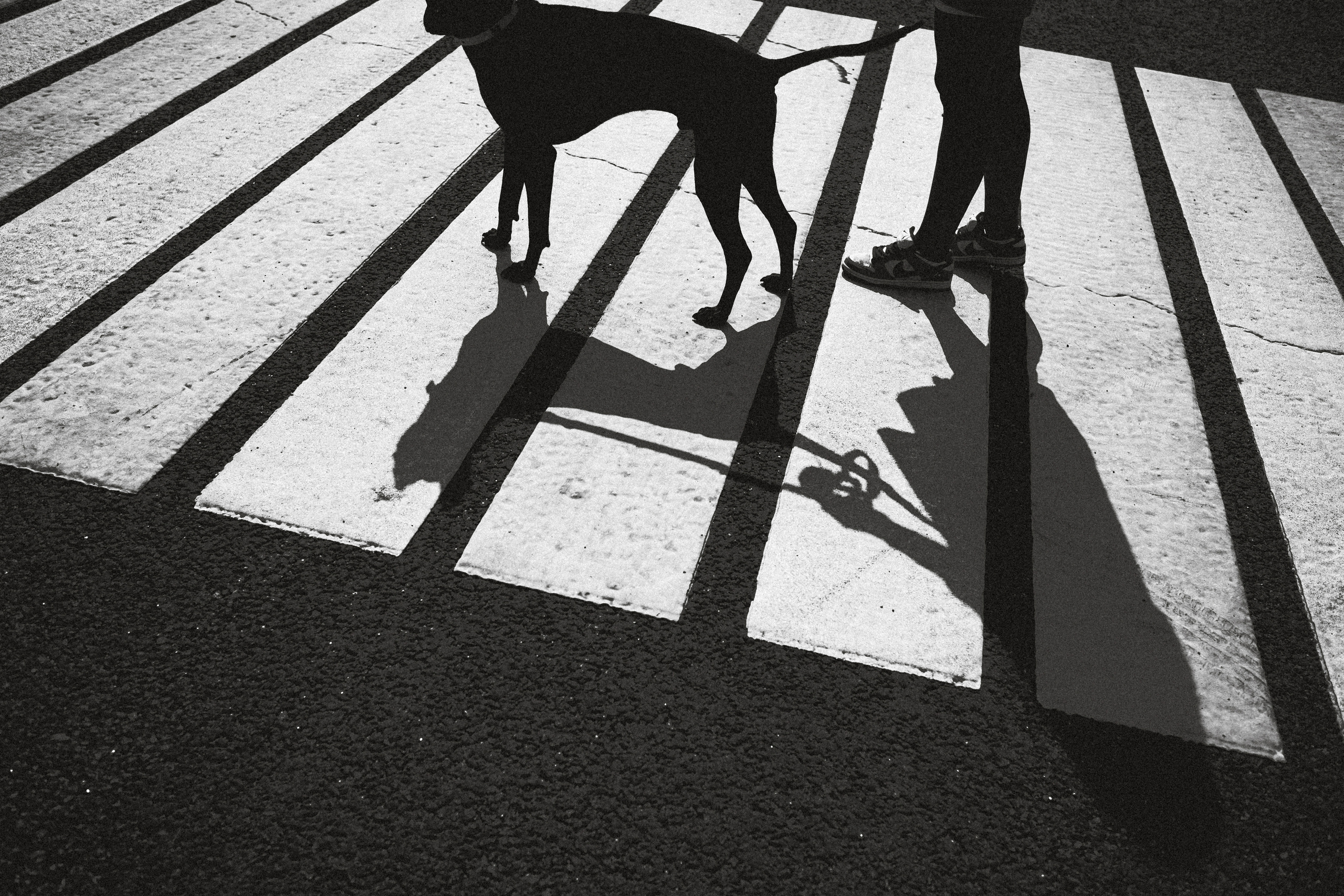 Оксана и Зевс